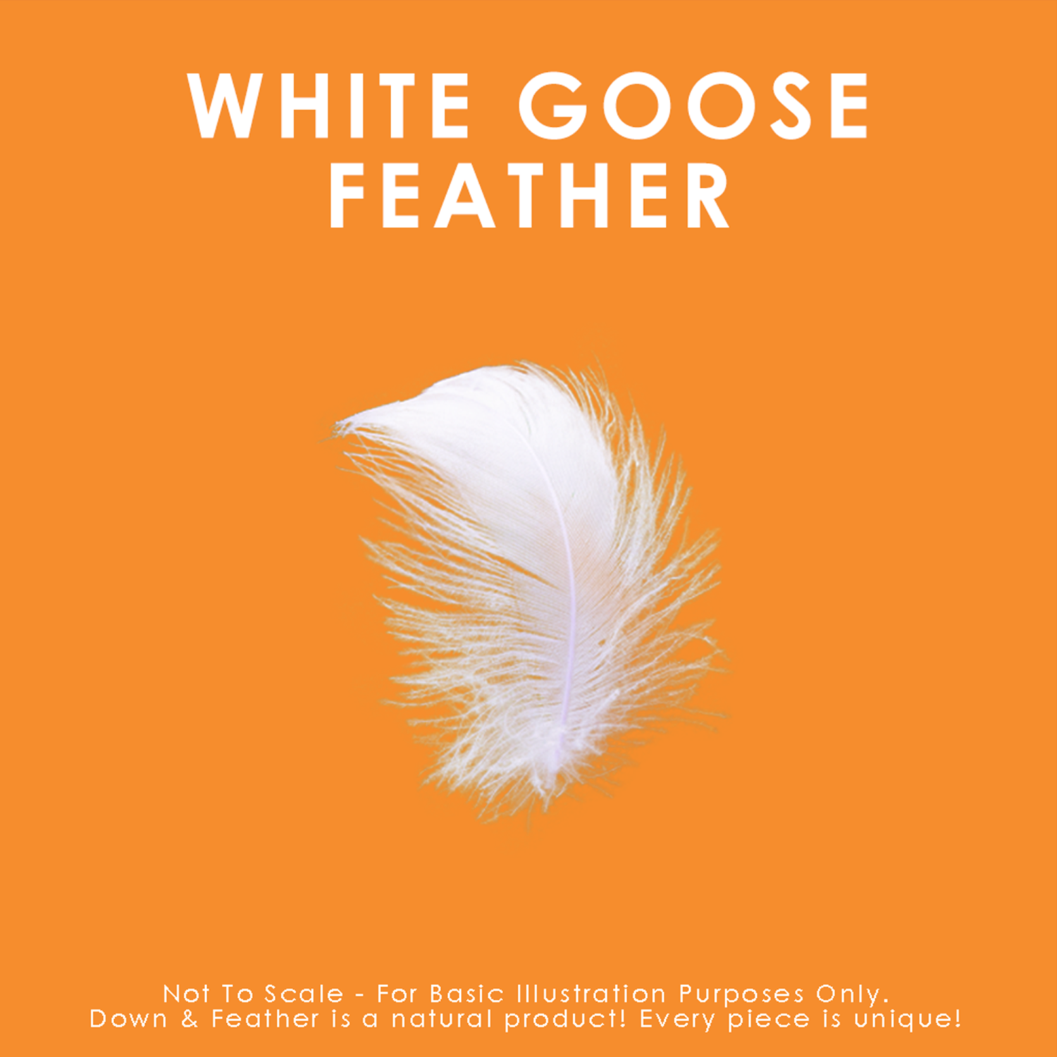 Canadian Down & Feather Co - White Goose Feather Duvet - Double, All Season