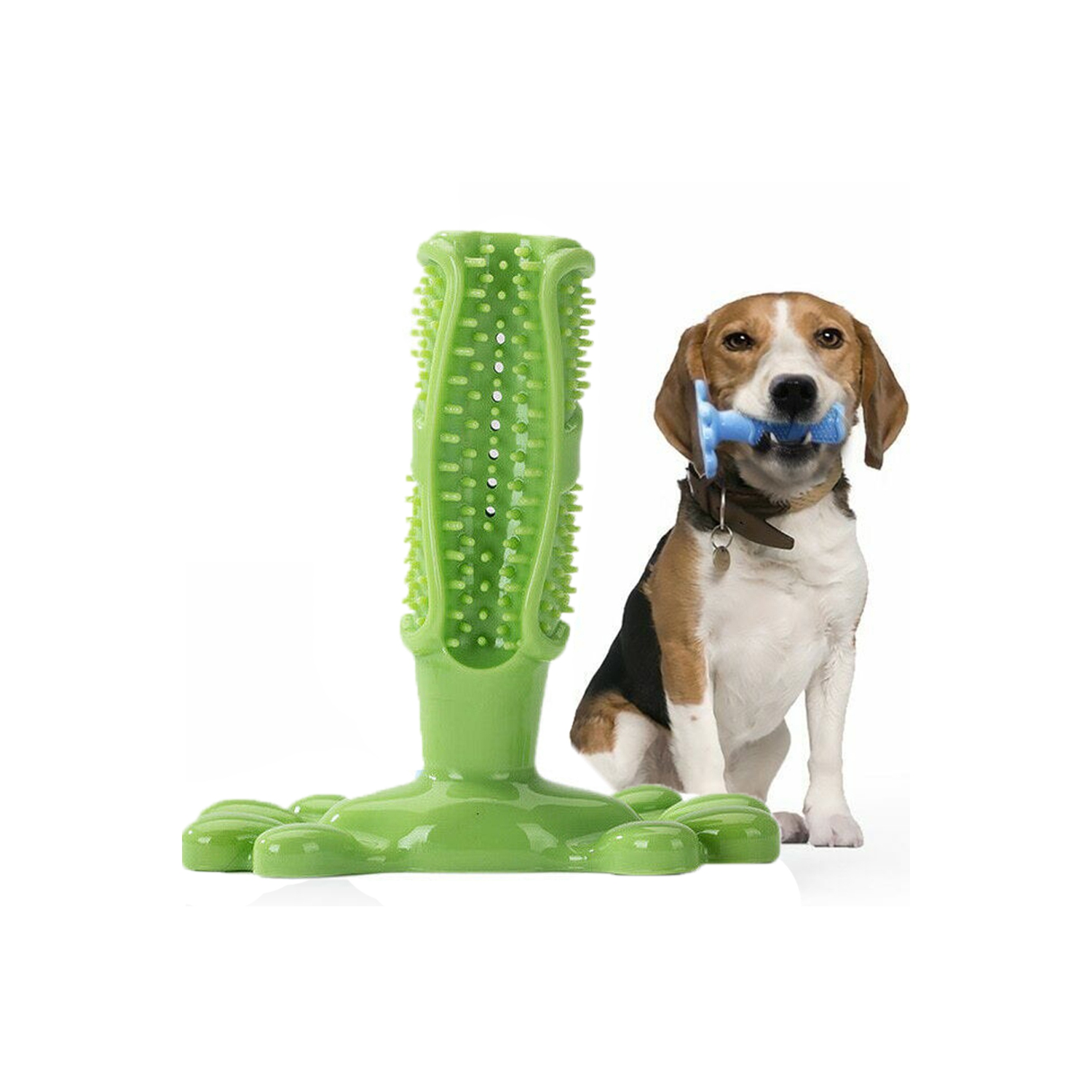 green dog chew toy