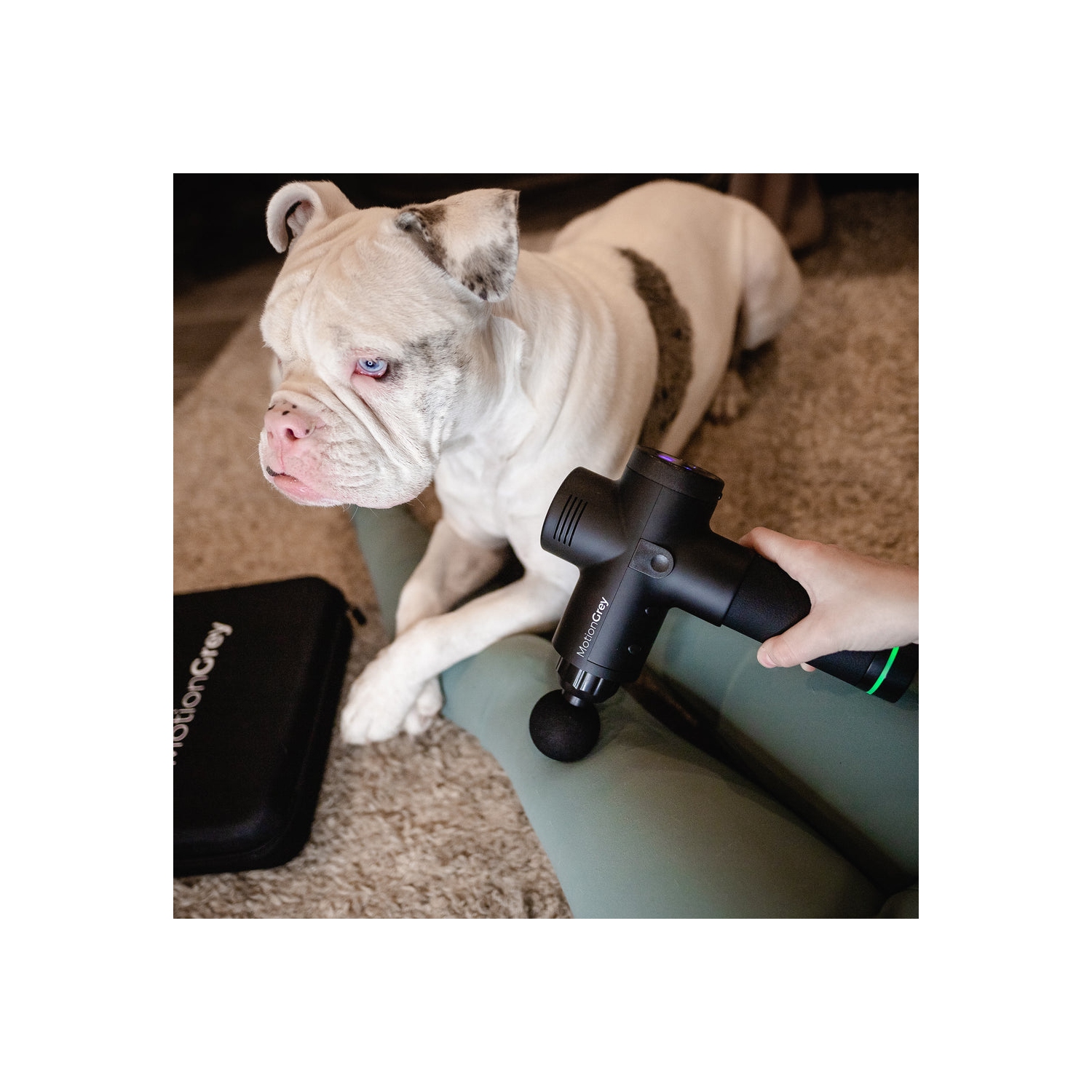 MotionGrey Personal Massage Gun Vibration Deep Tissue Percussion Massager Handheld 20 Adjustable Speeds Massager Pain Relief