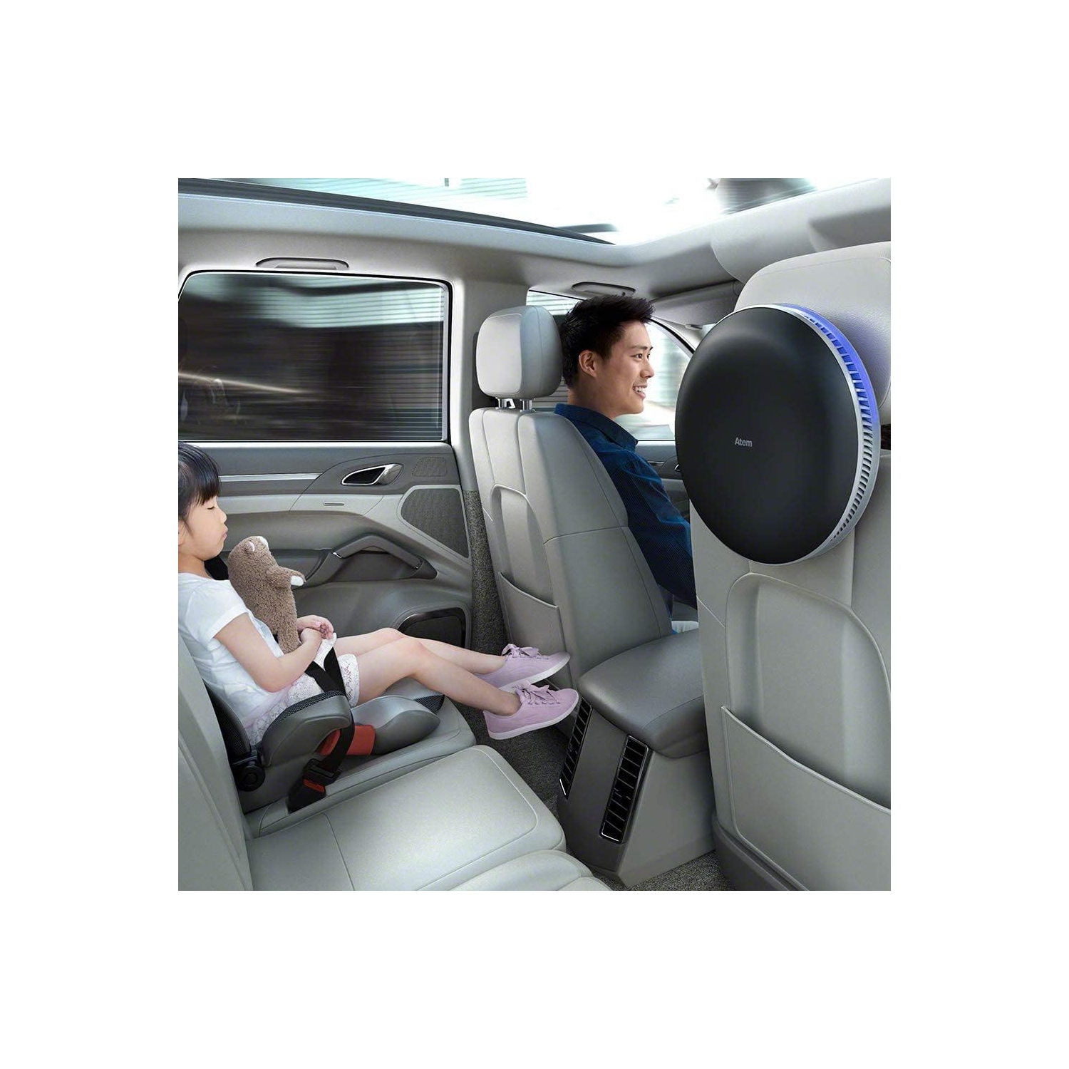 IQAir Atem Series Car Kit Converts Desk Air Purifier to Car Air Purifier, Includes Car Mount, Belt Buckel, and Car Power Adaptor