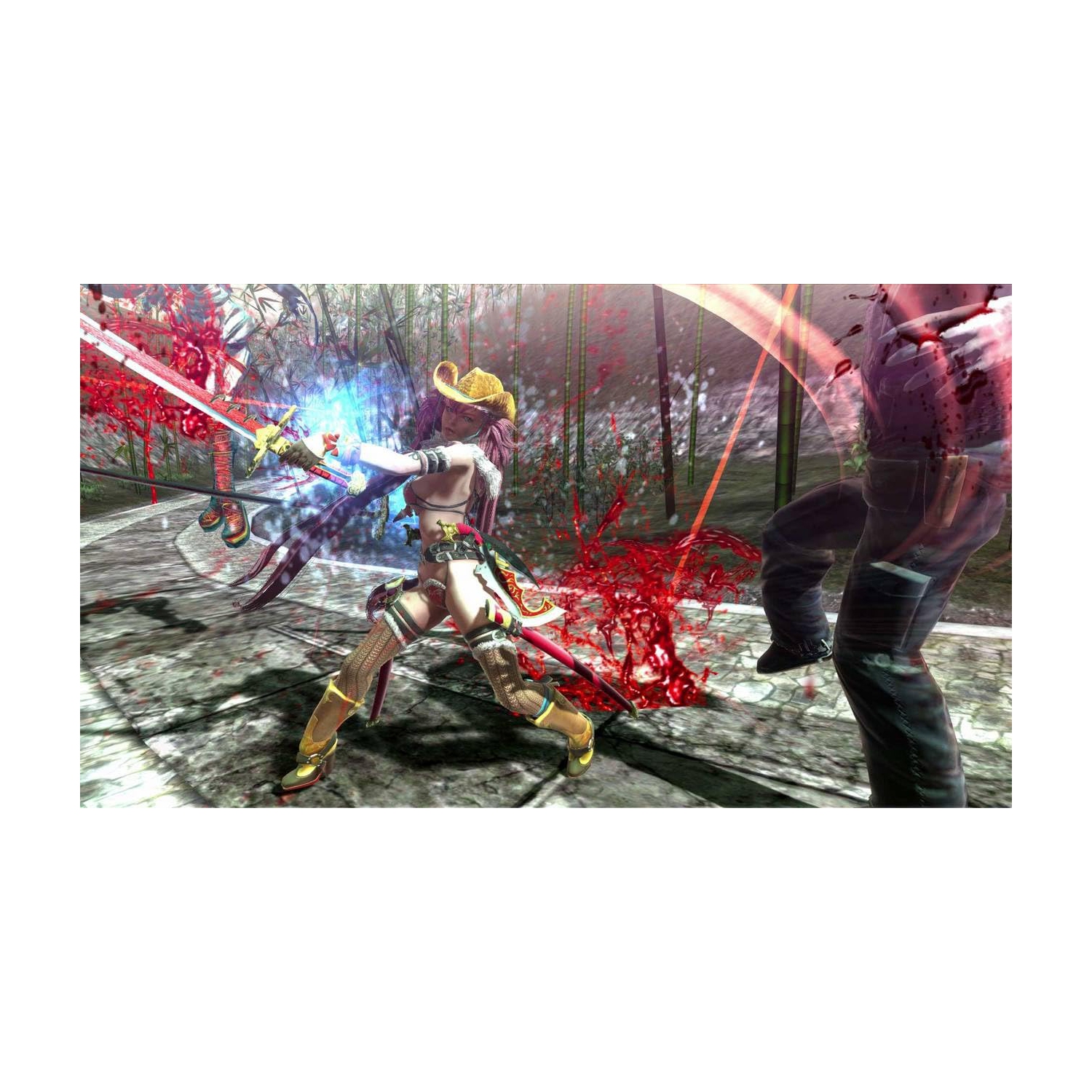 Onechanbara Z2: Chaos [PlayStation 4]