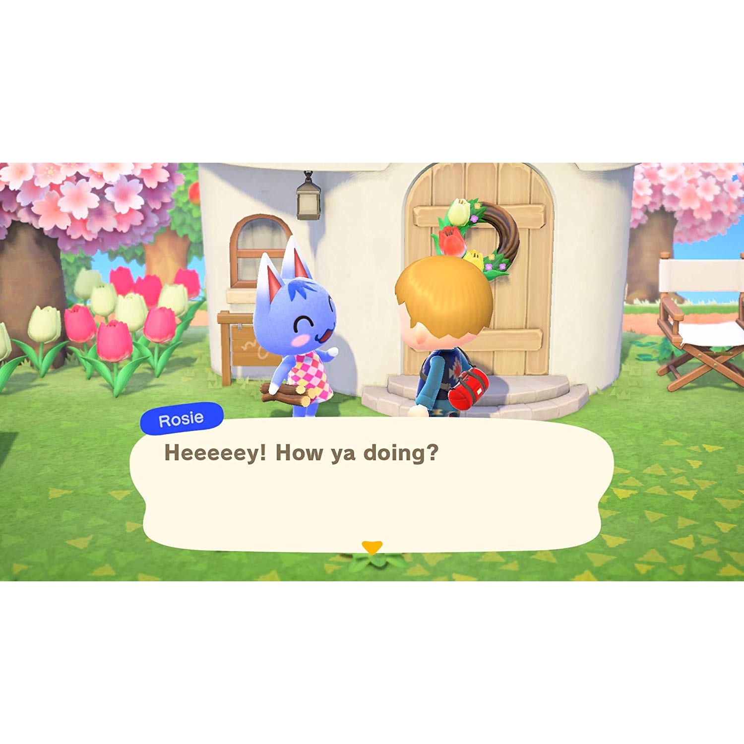 Animal Crossing: New Horizons [Nintendo Switch]
