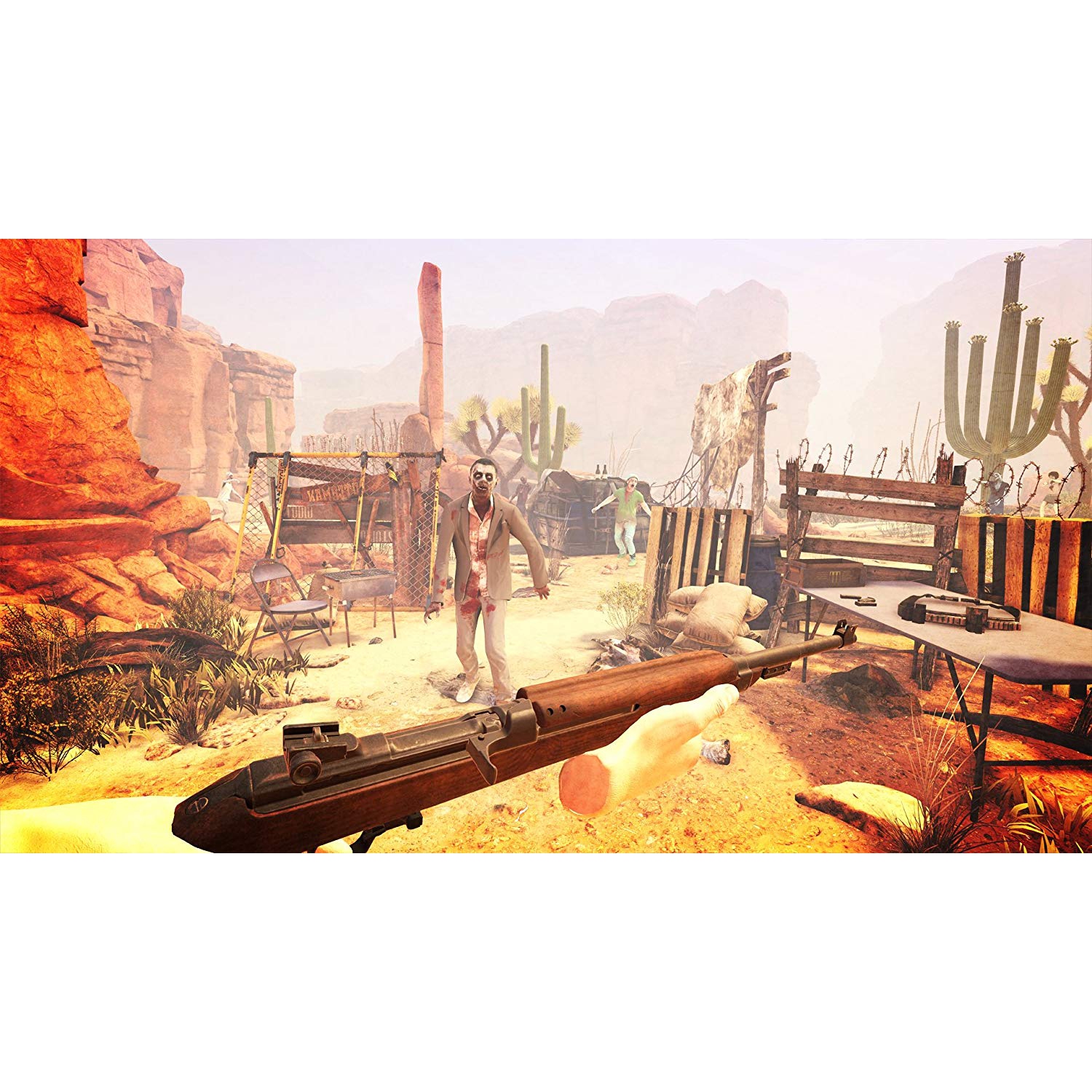 Arizona Sunshine - PSVR [PlayStation 4]