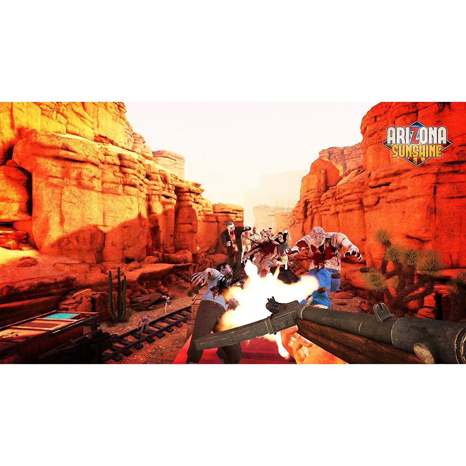 Arizona Sunshine - PSVR [PlayStation 4]