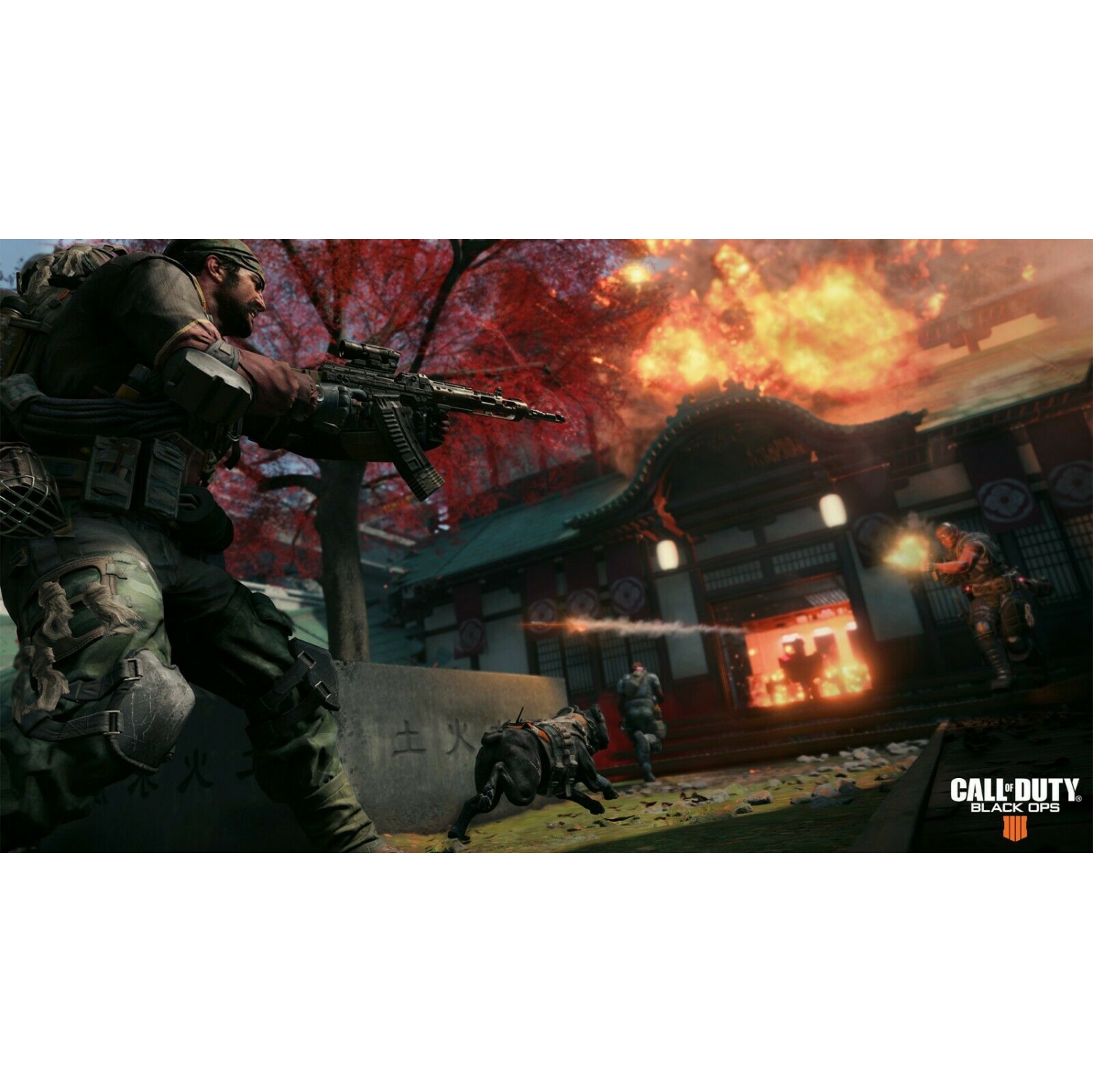 Call of Duty: Black Ops 4 [Xbox One]