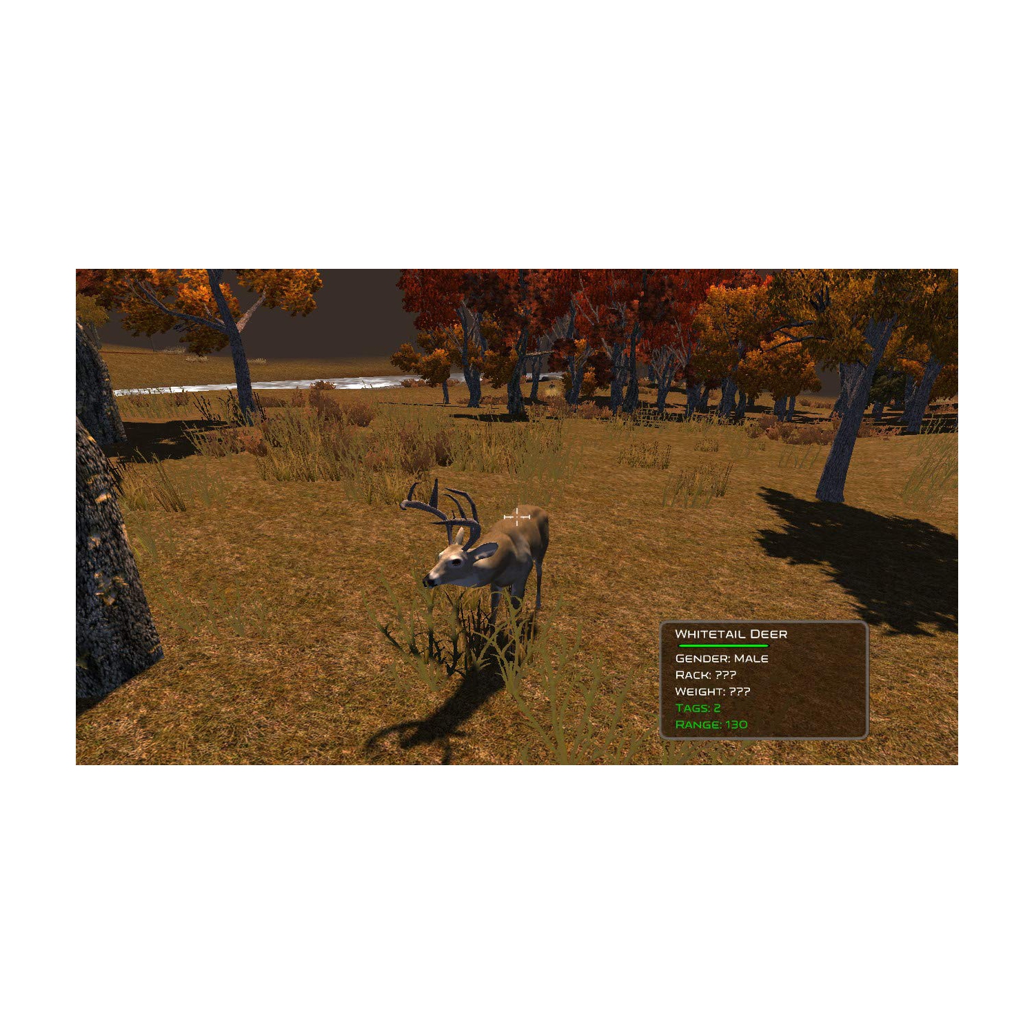 Cabela's: The Hunt - Championship Edition [Nintendo Switch]