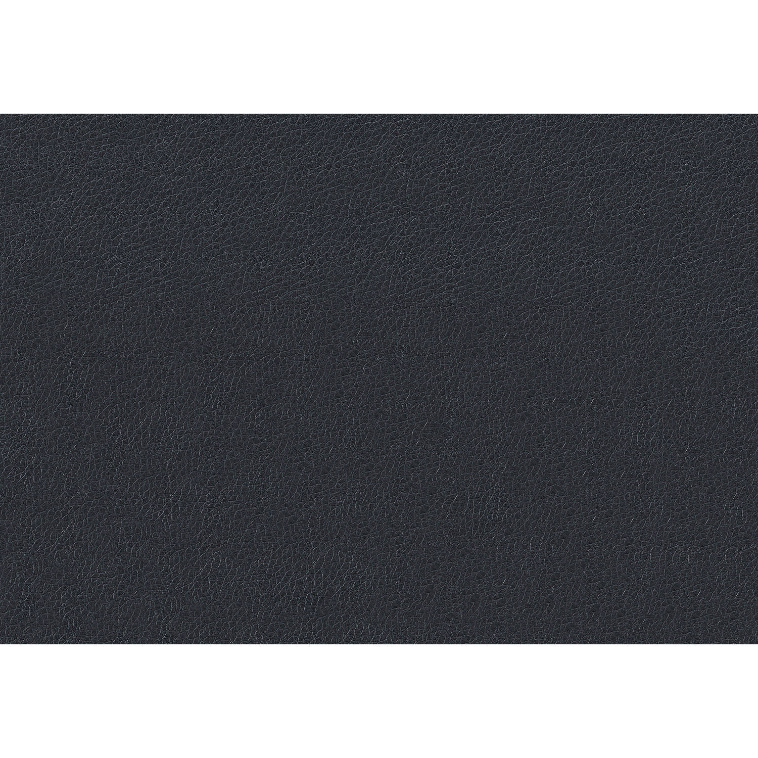 Monarch Contemporary Metal Dining Chair - Set of 2 - Black