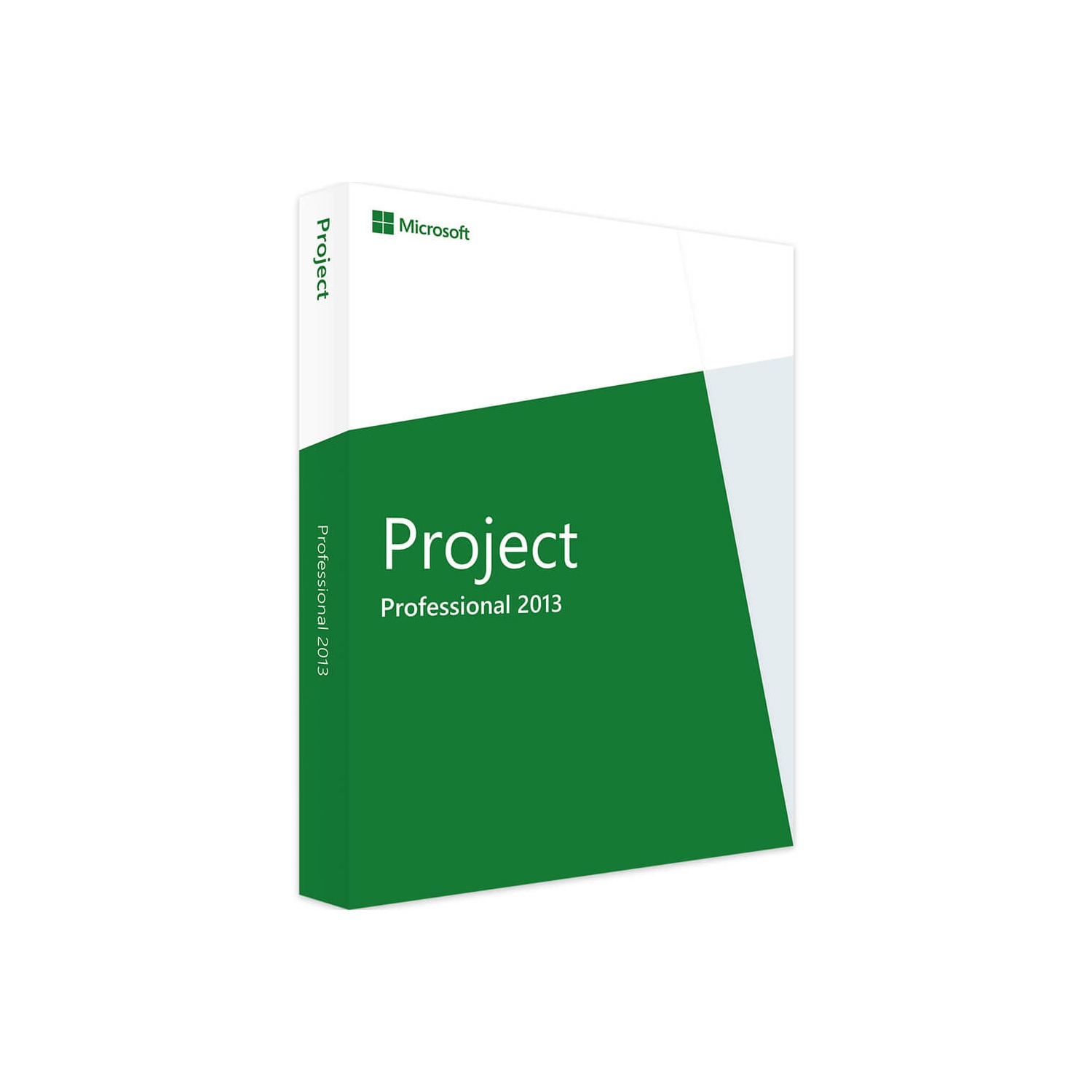 buy microsoft project professional 2013
