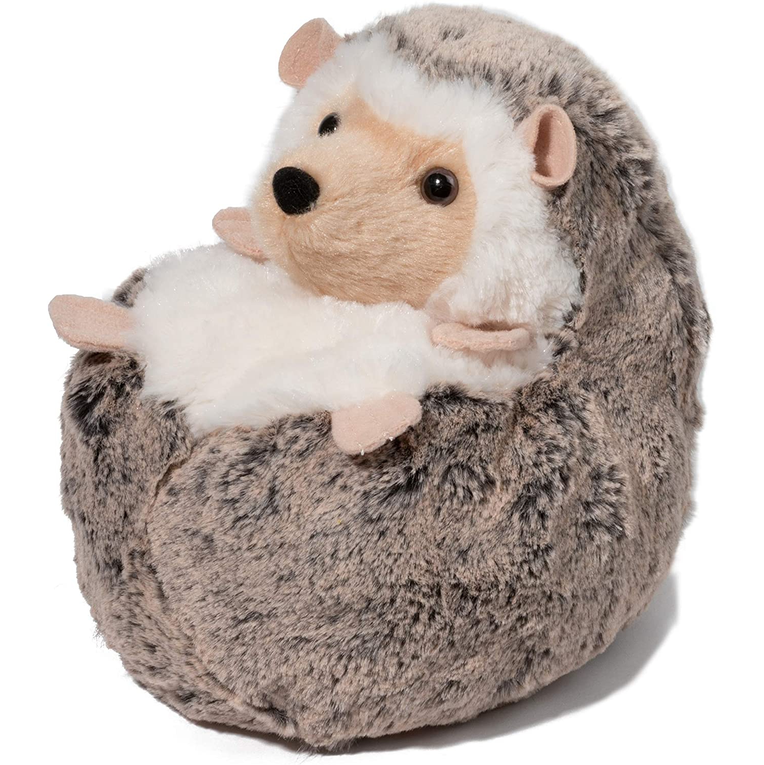 spunky the hedgehog