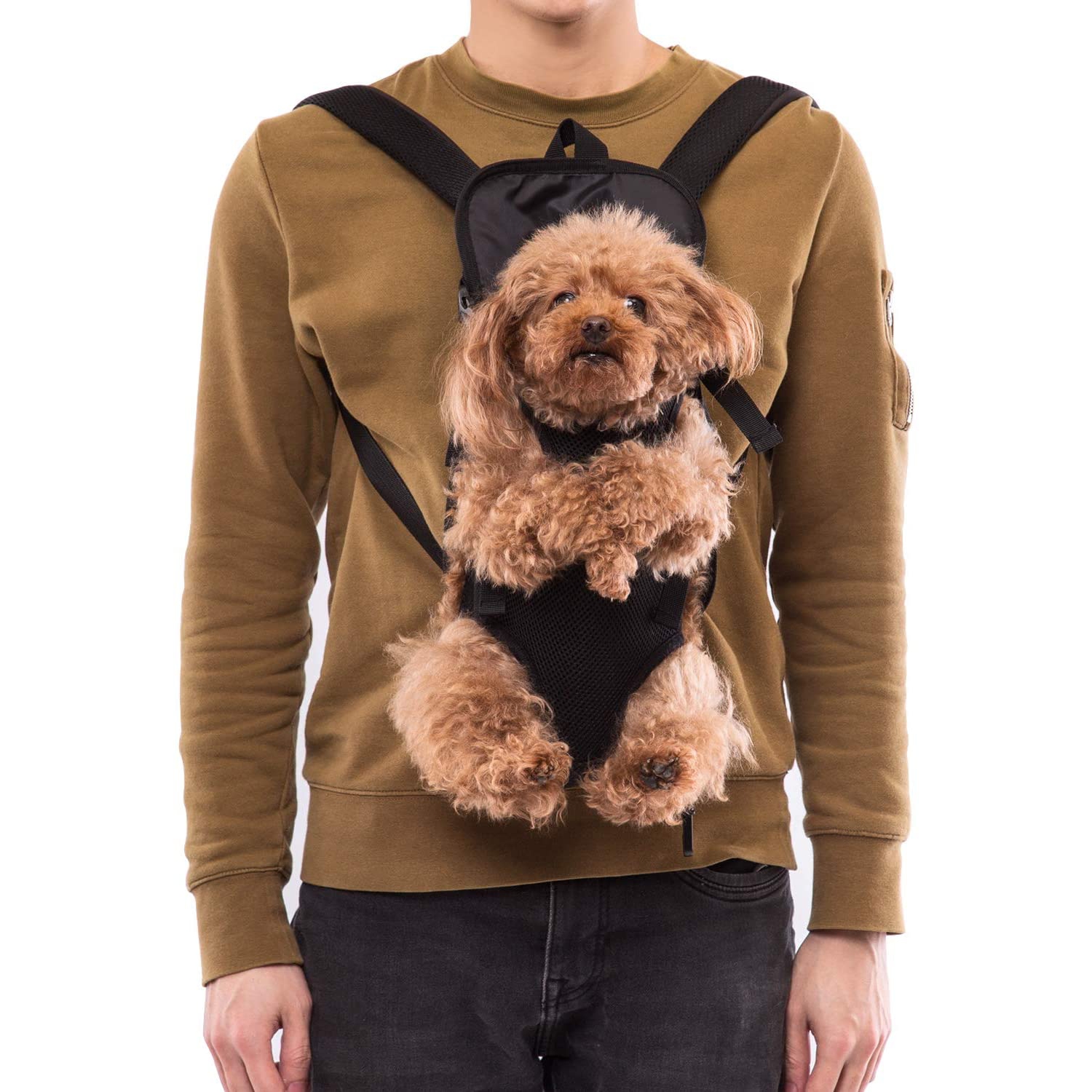 dog front carrier legs out