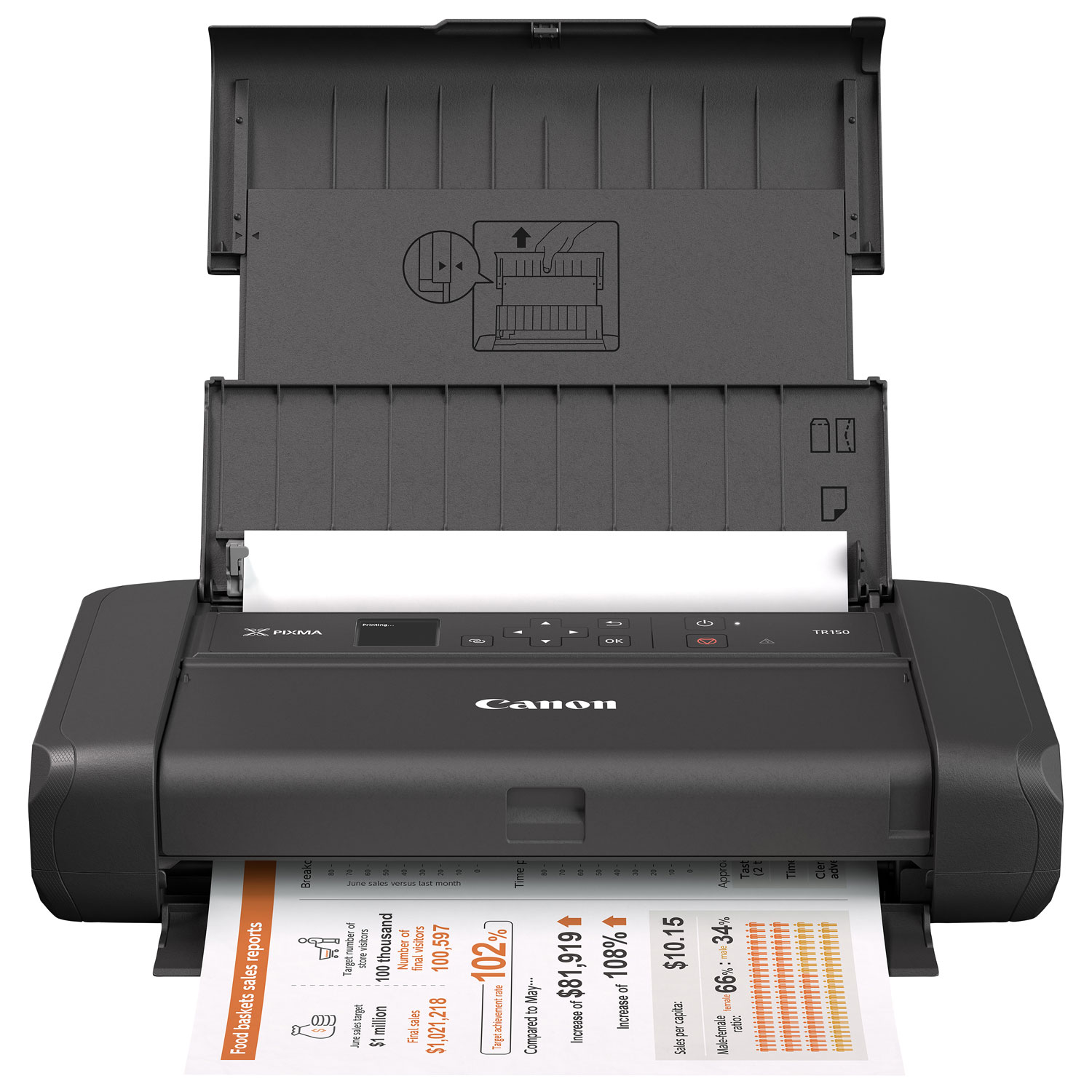 Canon PIXMA TR150 Wireless Portable Inkjet Printer