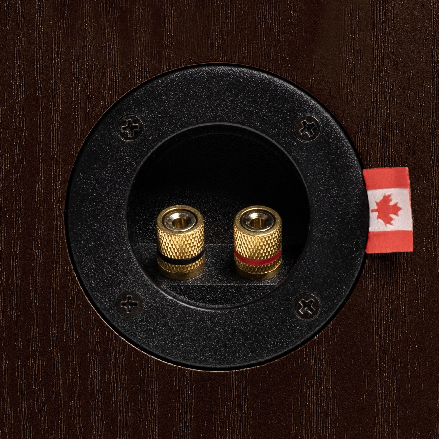 Fluance Reference High Performance 2-Way Center Channel Speaker for Home Theater Surround Sound System - Walnut