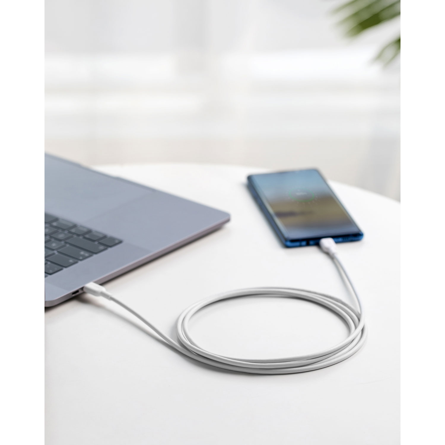 Anker PowerLine II 1.8m (6 ft.) USB-C/USB-C 2.0 Cable (A8482S21-5