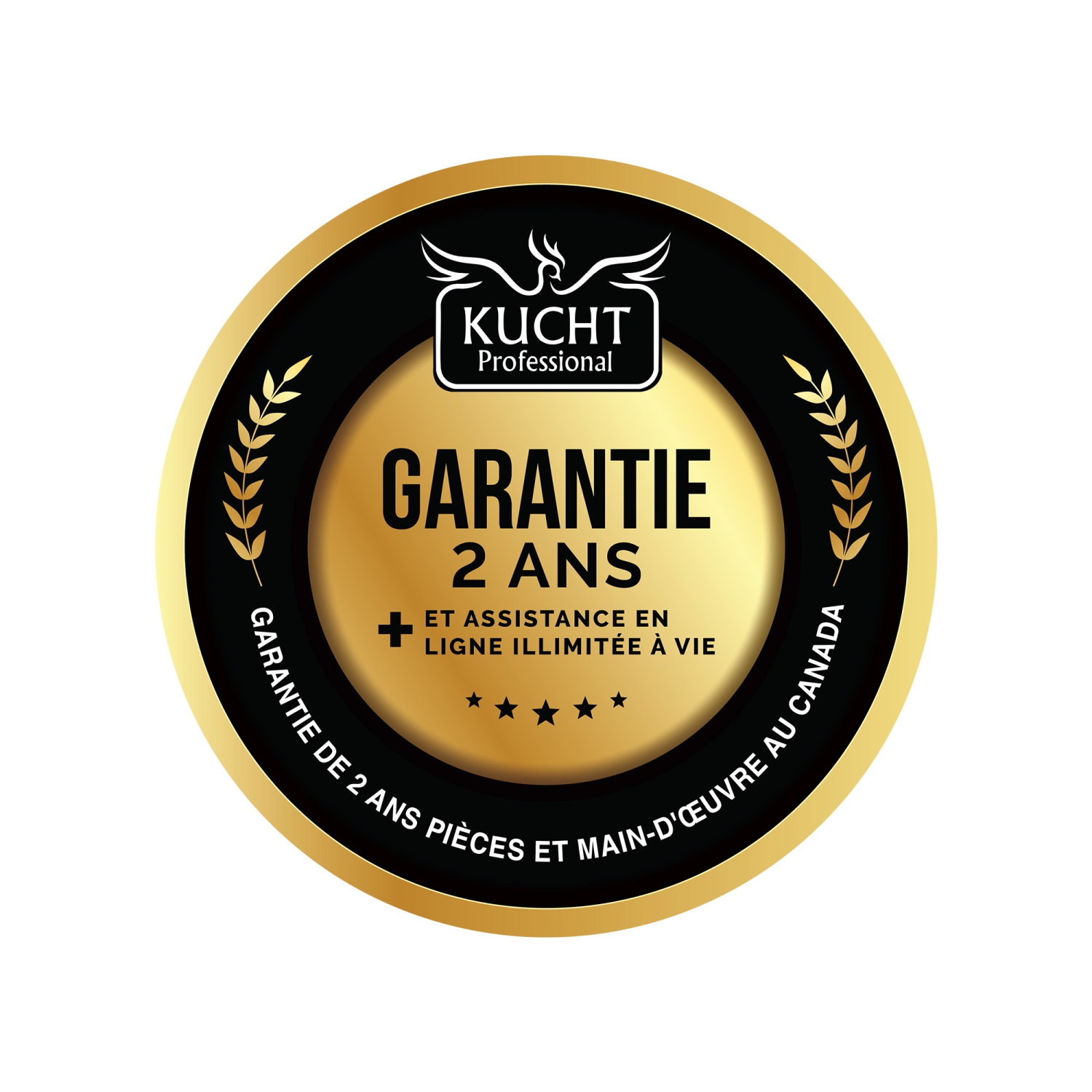 Hotte murale de 30&nbsp;po à conduit 900 pi3/min Professional de KUCHT, acier inoxydable