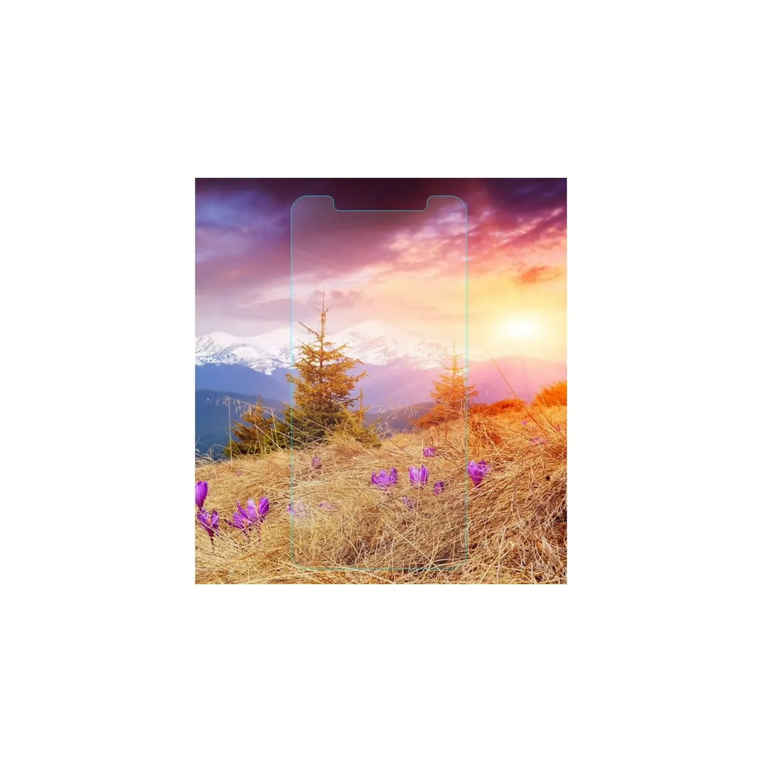 Protecteur d'écran en verre trempé de qualité supérieure pour iPhone 11 et iPhone XR - pellicule de protection Crystal Clear