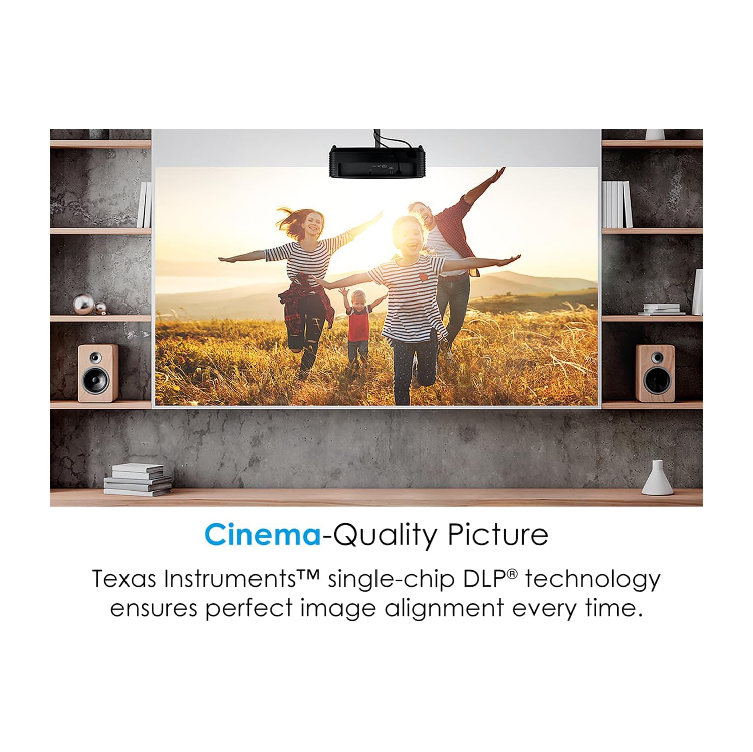 Optoma HD146X High Performance Projector for Movies & Gaming