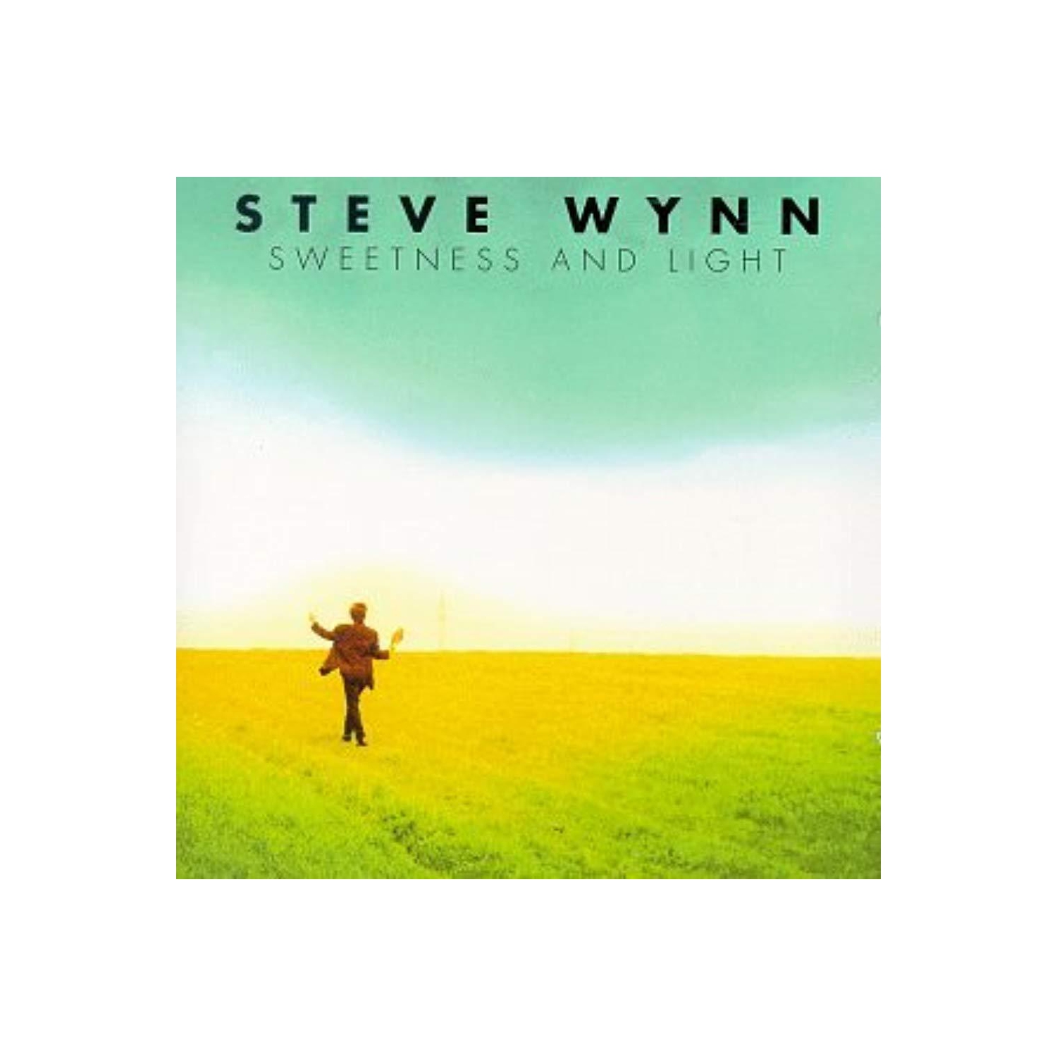Sweetness & Light [Audio CD] Wynn, Steve