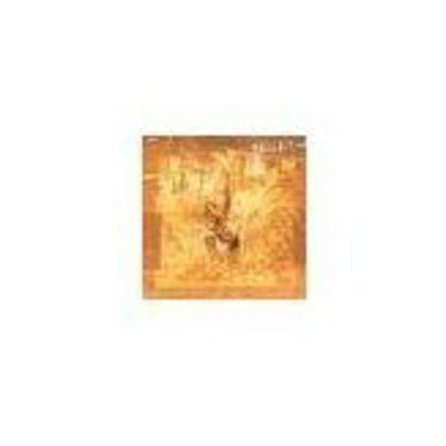 Matebis [Audio CD] Matebis