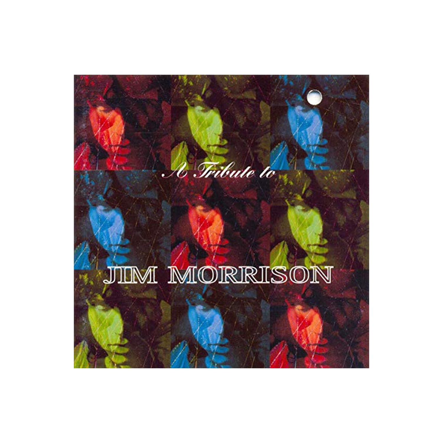 A Tribute to Jim Morrison [Audio CD] Various