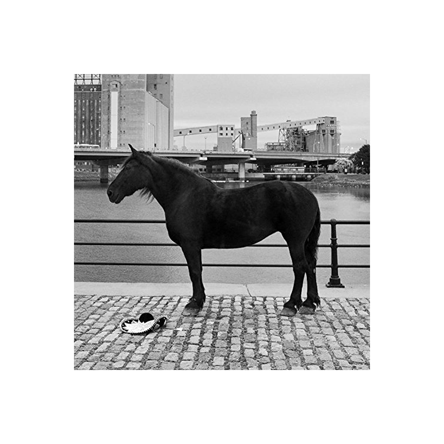 Chevy Chase [Audio CD] POMPIER,ROUGE