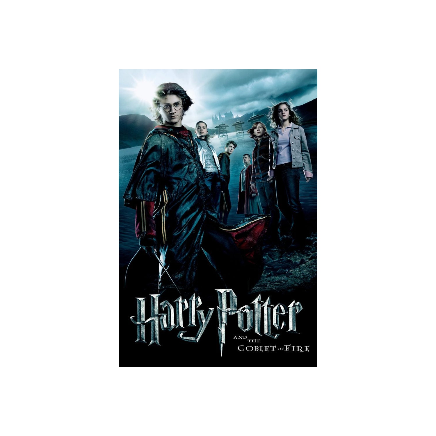 Harry Potter: Complete 8-Film Collection [Blu-Ray Box Set]