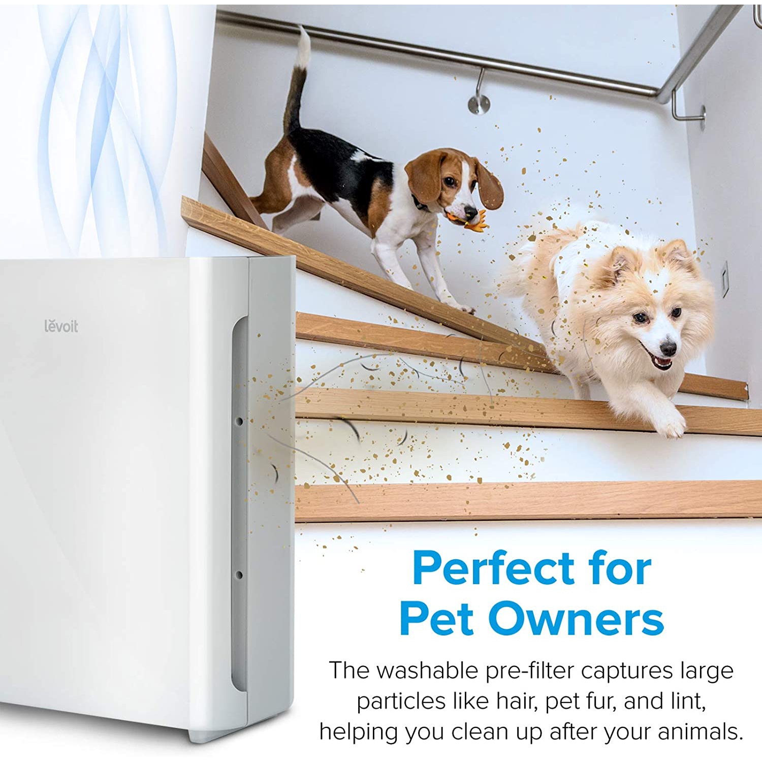 Air Purifier for Home with True HEPA Filter, Air Cleaner for Allergies and Pets, Smokers, Mold, Pollen, Dust, Quiet Odor Eliminators for Bedroom, 300