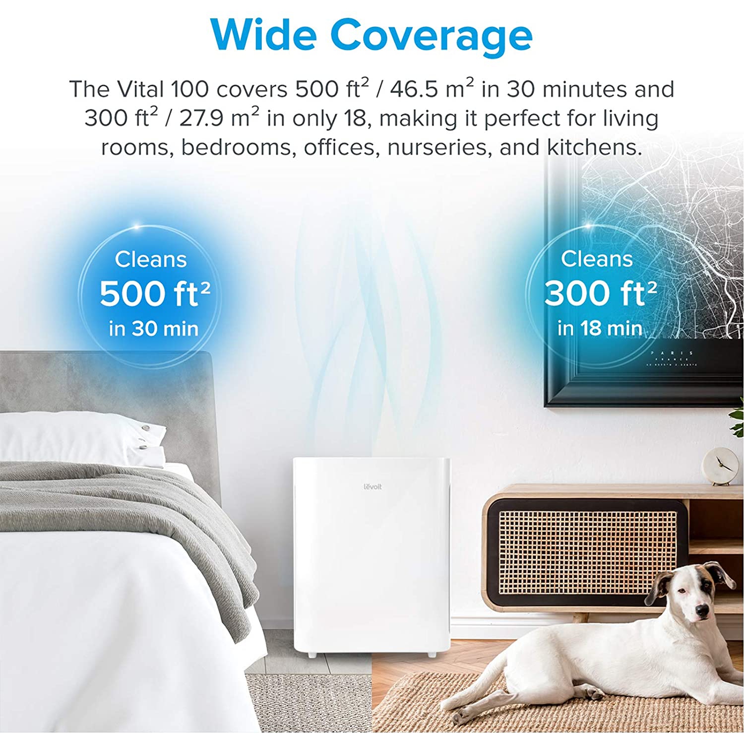 Air Purifier for Home with True HEPA Filter, Air Cleaner for Allergies and Pets, Smokers, Mold, Pollen, Dust, Quiet Odor Eliminators for Bedroom, 300