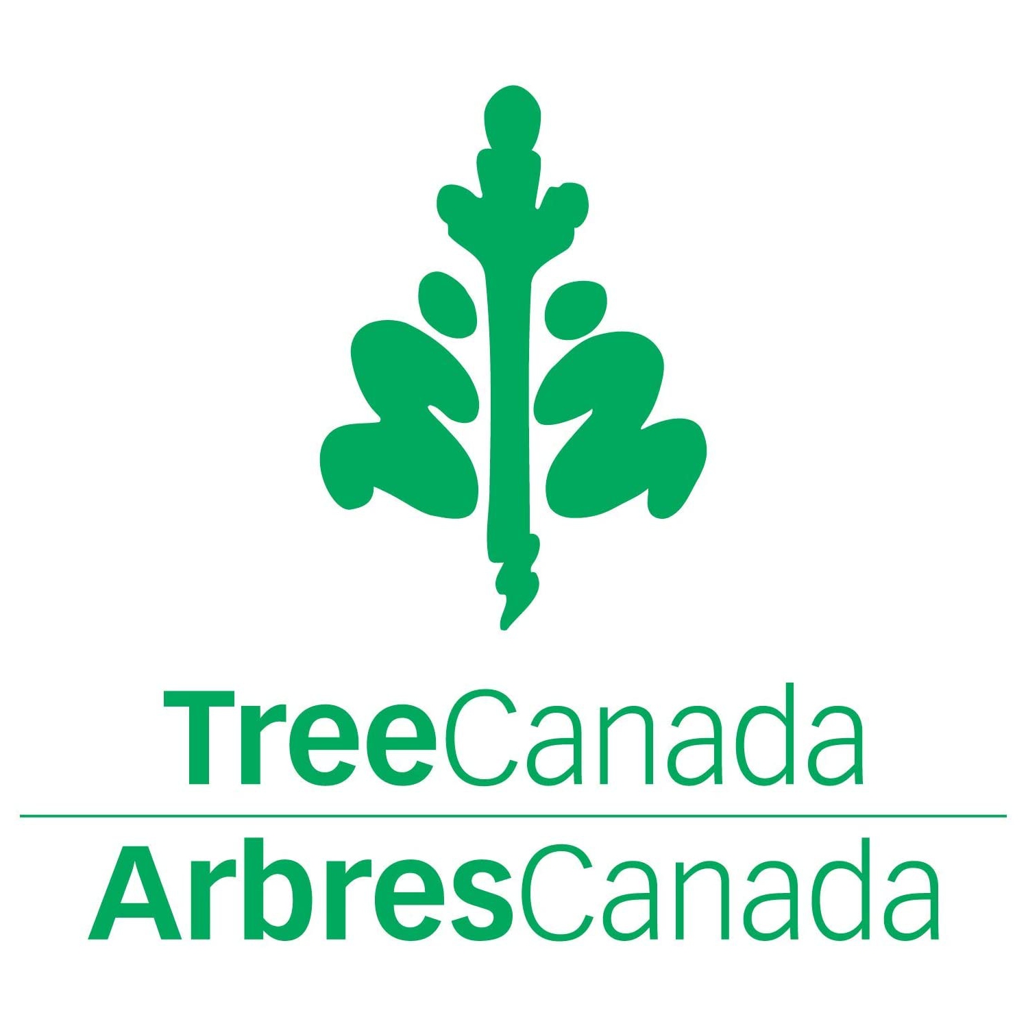 Honeywell HFD140BCV1 QuietClean Purificateur d'air pour chambre moyenne-grande, avec filtre lavable permanent et préfiltre réduit les odeurs/COV,