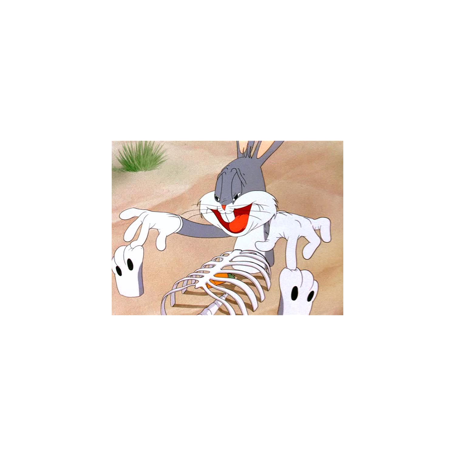 Looney Tunes: Spotlight Collection: La première édition