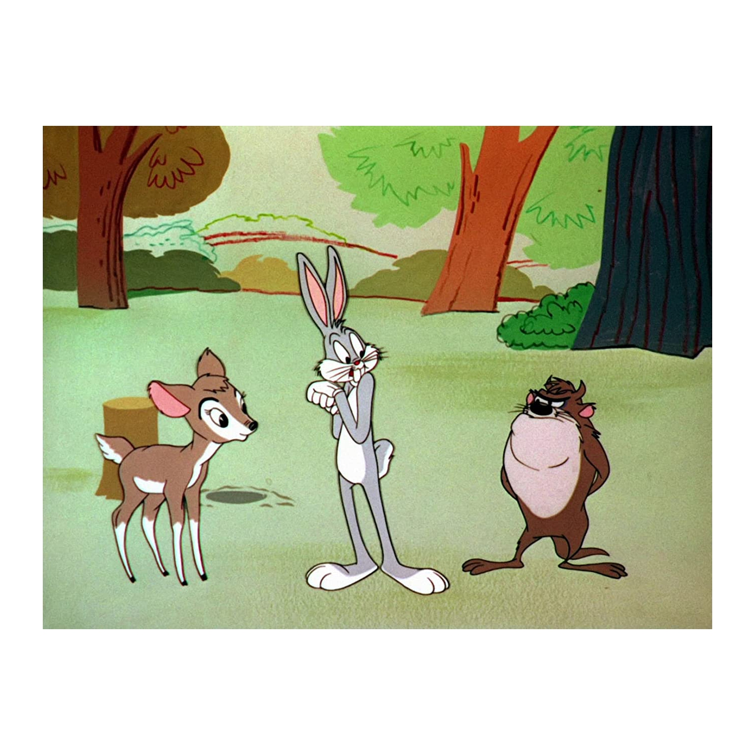 Looney Tunes: Spotlight Collection: La première édition