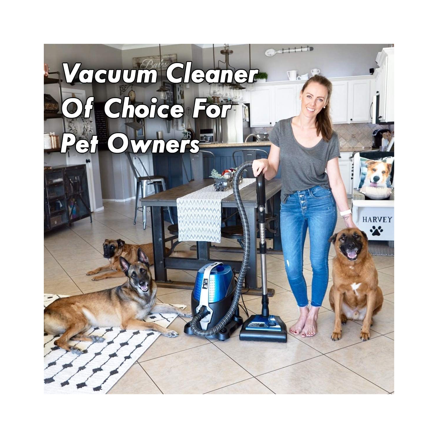 Sirena Bagless Canister Vacuum Cleaner | Powerful 2-Speed Motor with Water Based Filtration System | Pet & Allergy Pro