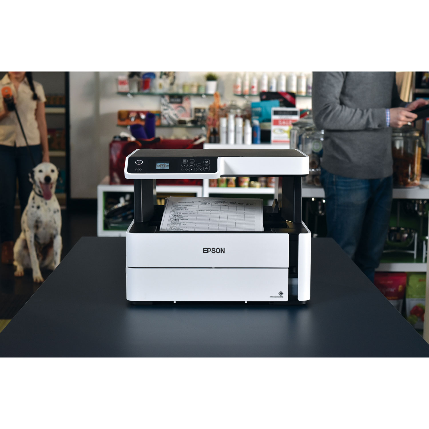 Imprimante à jet encre tout-en-un sans fil avec réservoir d'encre géant EcoTank ET-M2170 d'Epson