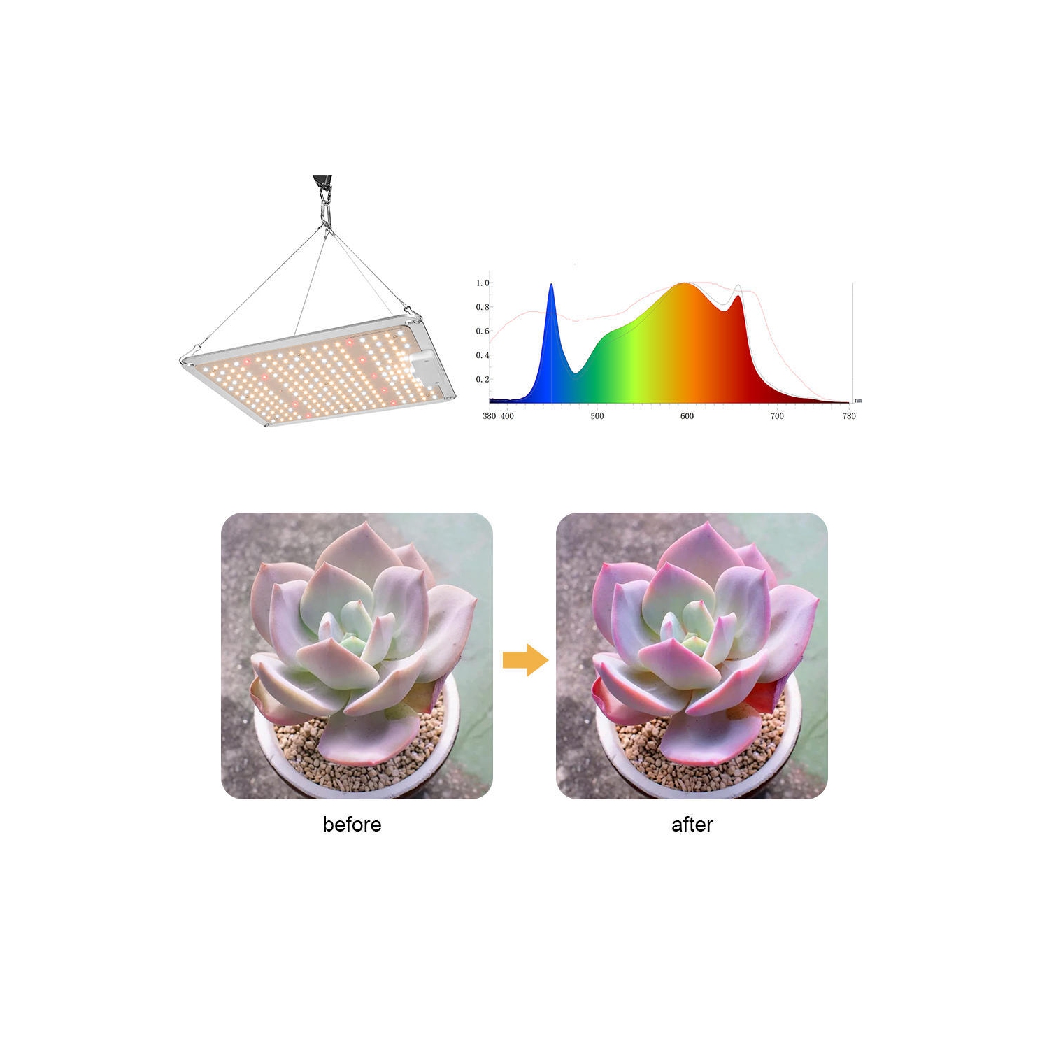 218 LED Grow Light，Full Spectrum 3000K 5000K 660nm 760nm IR Plant Grow Lamp for Indoor Plants Seeding Veg and Bloom