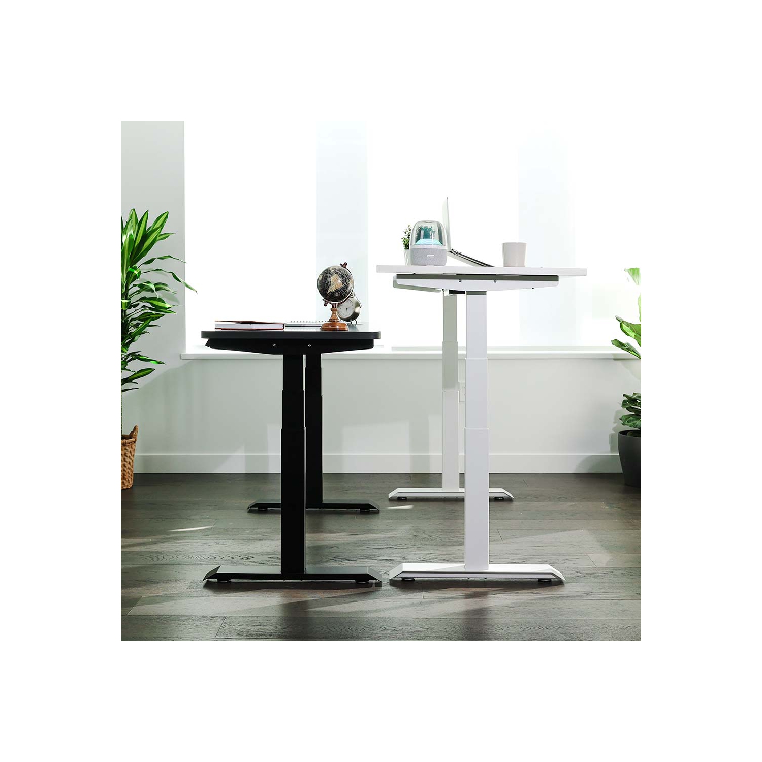 MotionGrey Height Adjustable German Electric Dual Motors Sit to Stand Computer Home Table and Office Standing Desk - Black Frame with Tabletop