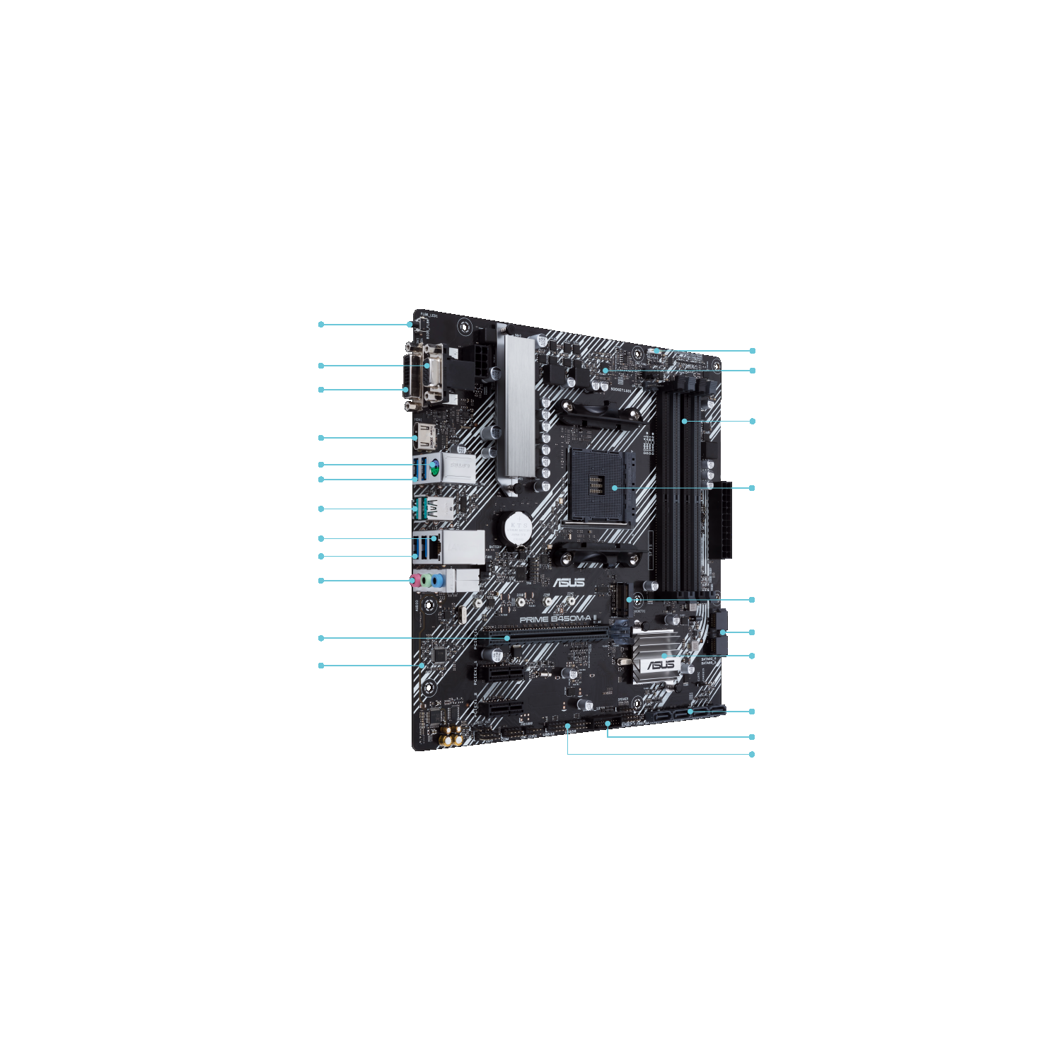 ASUS Micro-ATX AM4 Motherboards