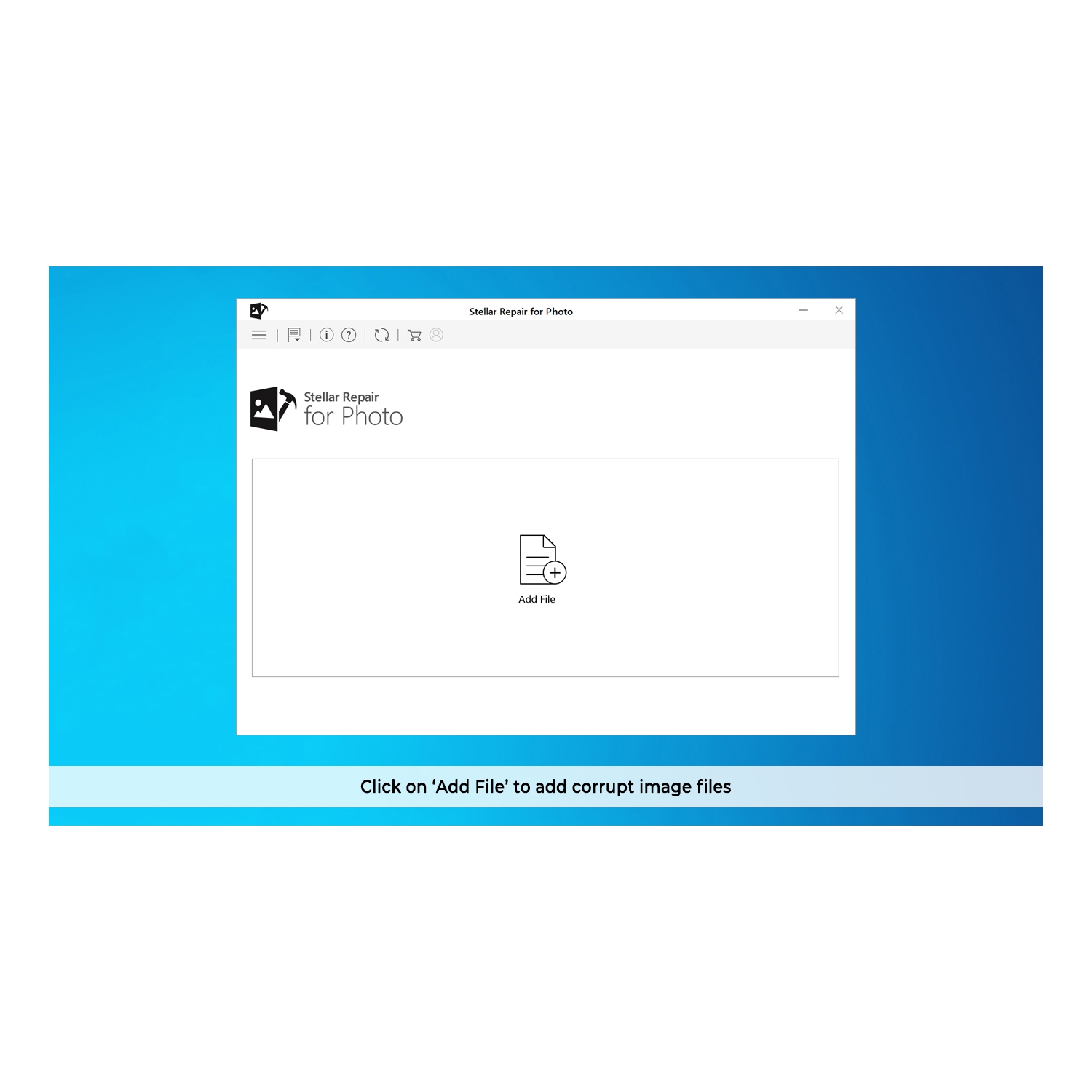 Stellar Repair for Photo Software | for Windows | Standard | Repairs Corrupt or Damaged Photos | 1 Device, 1 Yr Subscription | Email Delivery | -