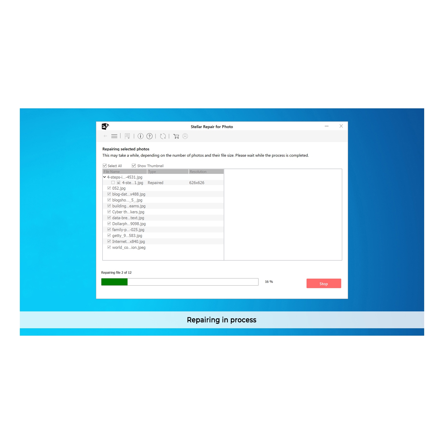 Stellar Repair for Photo Software | for Windows | Standard | Repairs Corrupt or Damaged Photos | 1 Device, 1 Yr Subscription | Email Delivery | -