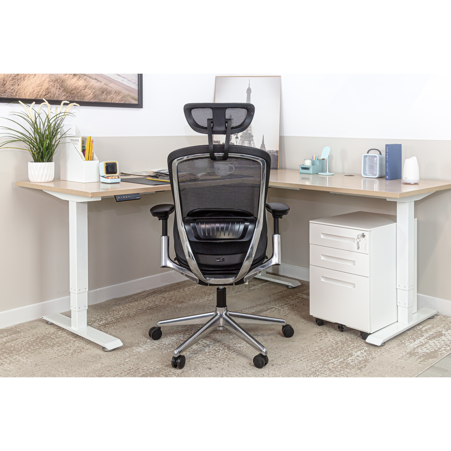 CeliniChair Heavy-Duty Executive Home Office Chair Ergonomic Desk Chair with Lumbar Support 4D Armrest Adjustable Task Chair