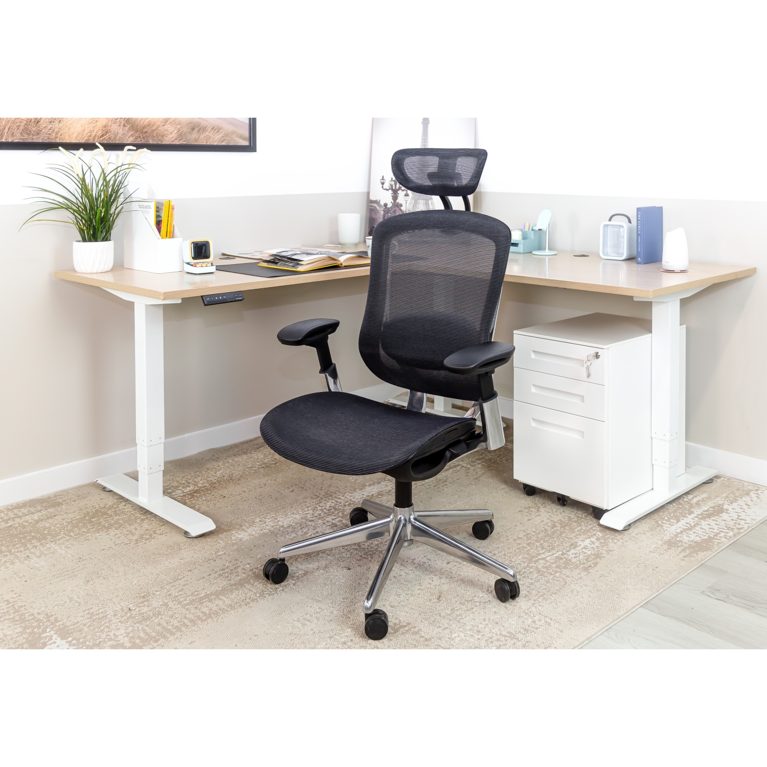 CeliniChair Heavy-Duty Executive Home Office Chair Ergonomic Desk Chair with Lumbar Support 4D Armrest Adjustable Task Chair