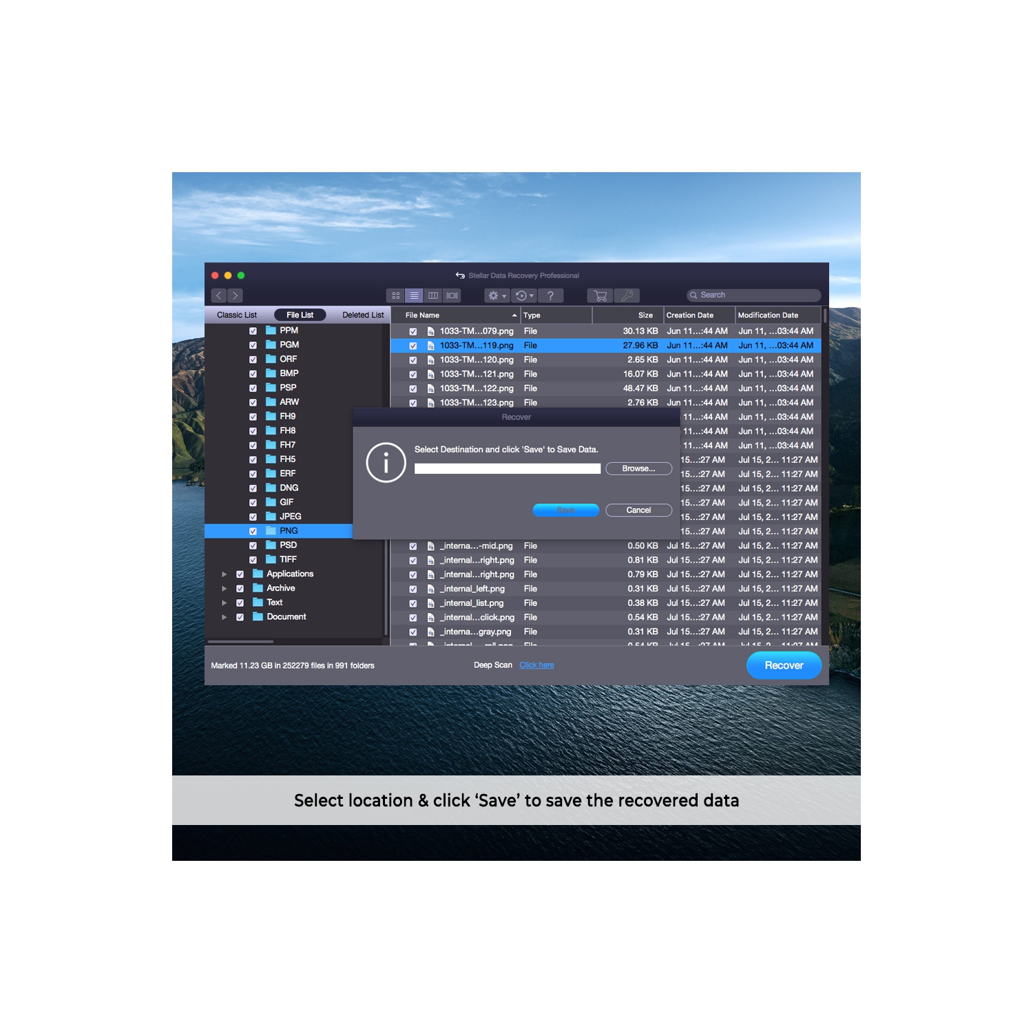 Stellar Data Recovery Software for Mac Professional Recovers Deleted Data, Photos, Videos, Emails 1 PC 1 Year - Digital Download
