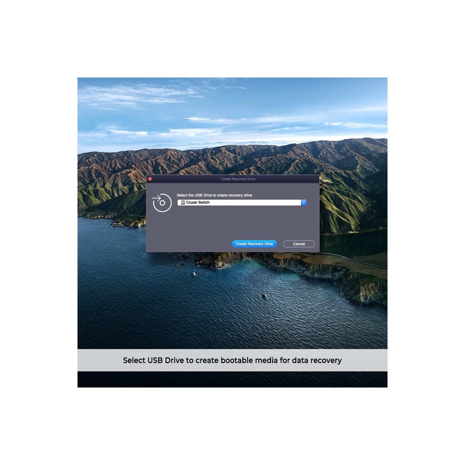 Stellar Data Recovery Software for Mac Professional Recovers Deleted Data, Photos, Videos, Emails 1 PC 1 Year - Digital Download