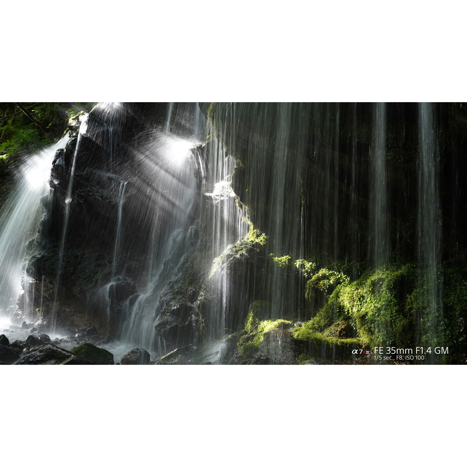 Sony E-Mount Full-Frame FE 35mm f/1.4 Premium G Master Large-Aperture Wide Angle Prime Lens