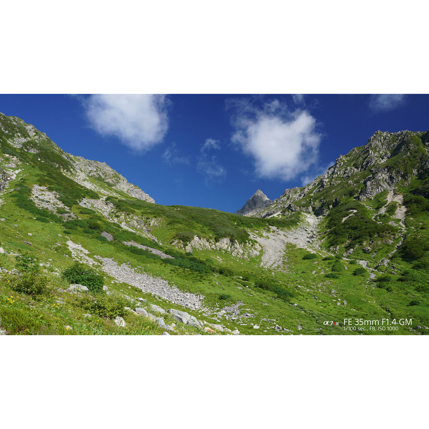 Sony E-Mount Full-Frame FE 35mm f/1.4 Premium G Master Large-Aperture Wide Angle Prime Lens