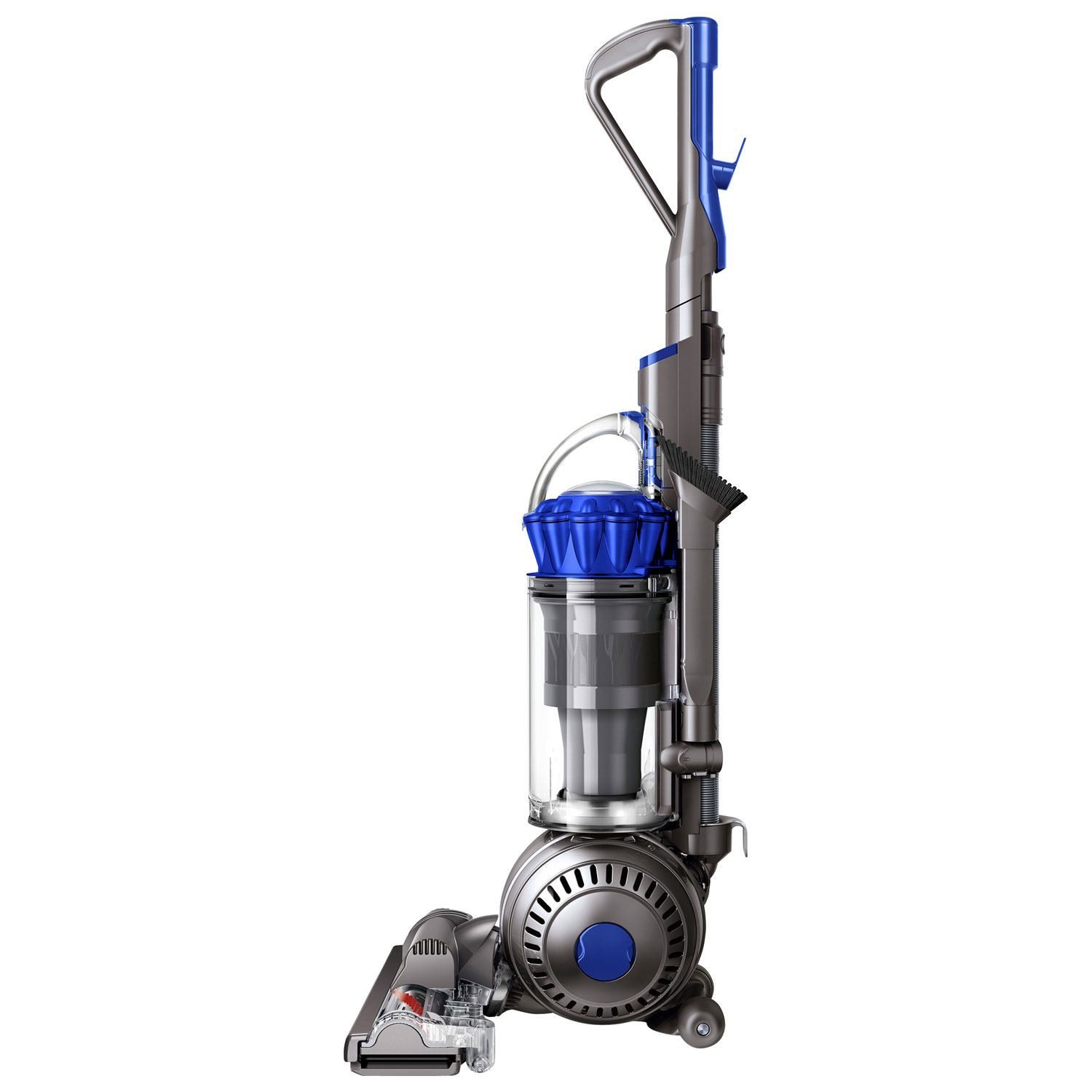 Aspirateur vertical sans sac Ball Allergy+ de Dyson - Fer/Bleu