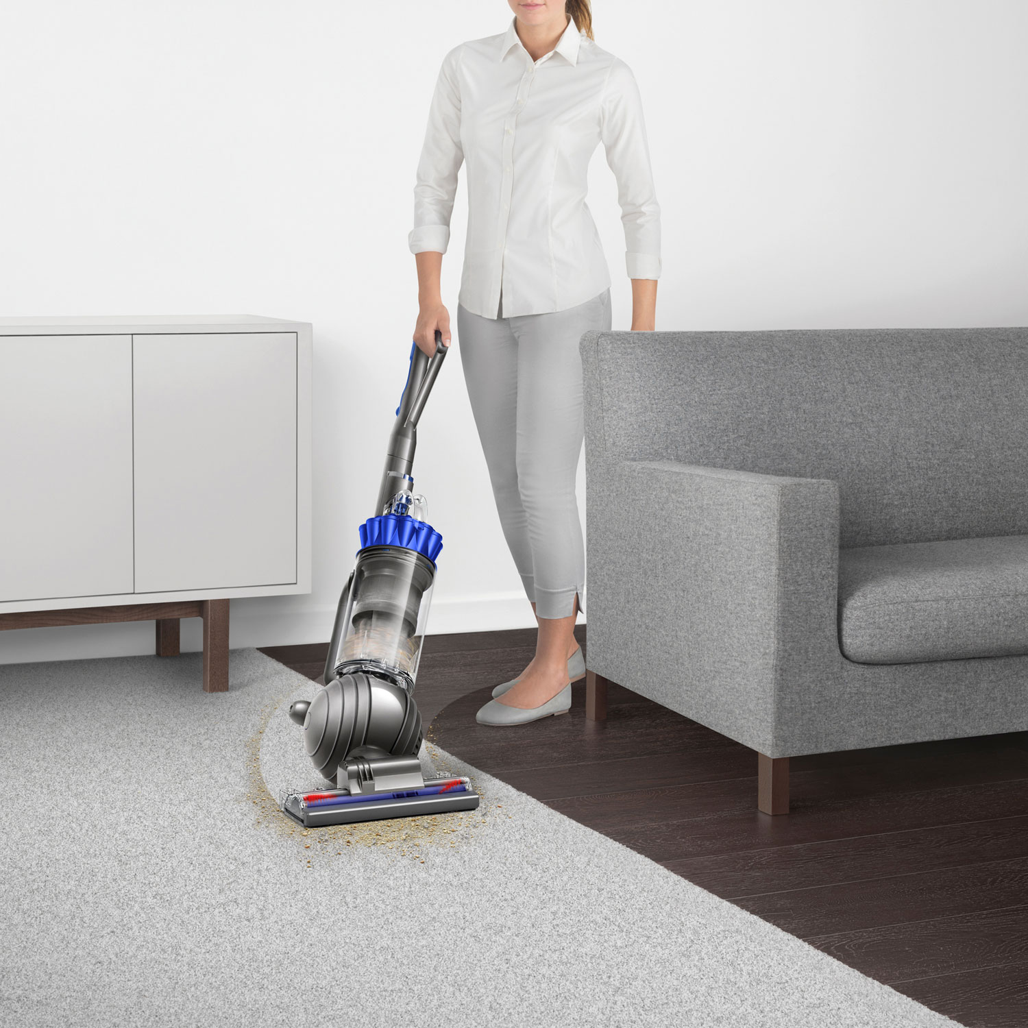 Aspirateur vertical sans sac Ball Allergy+ de Dyson - Fer/Bleu