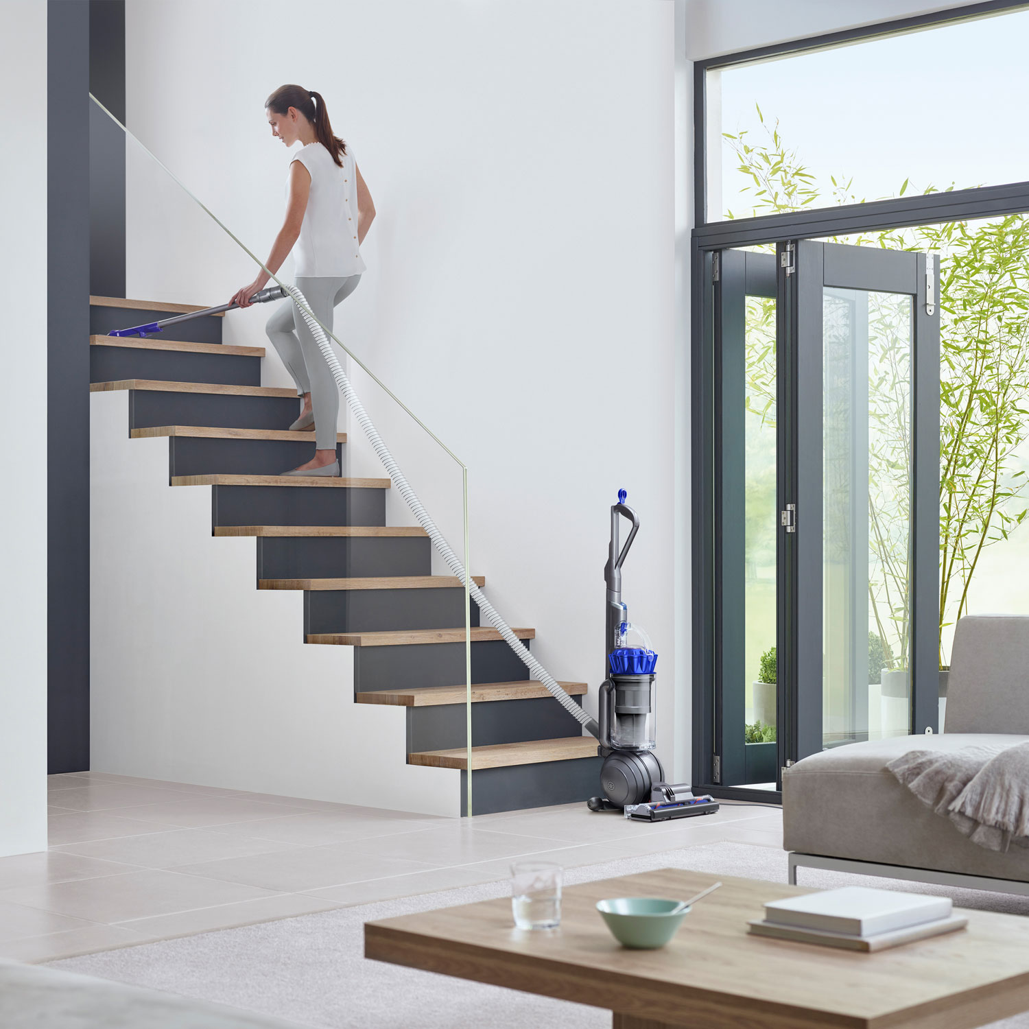 Aspirateur vertical sans sac Ball Allergy+ de Dyson - Fer/Bleu