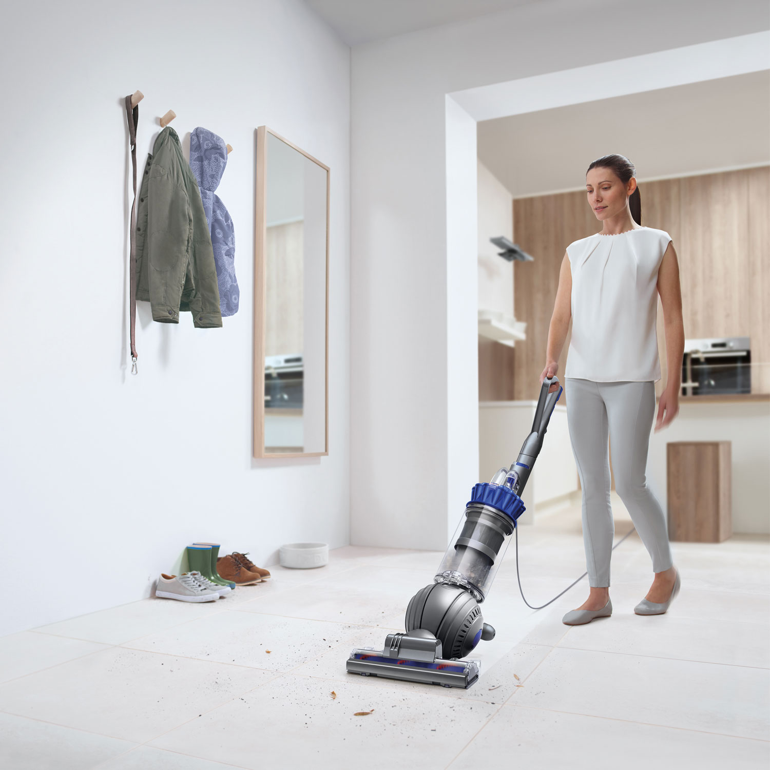 Aspirateur vertical sans sac Ball Allergy+ de Dyson - Fer/Bleu