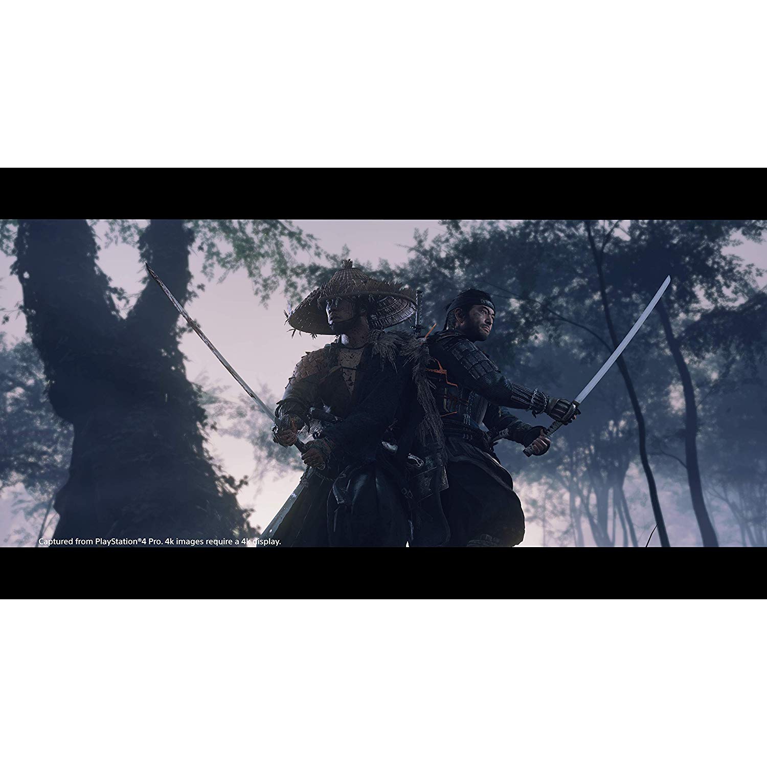 Ghost of Tsushima - Édition spéciale [PlayStation 4]