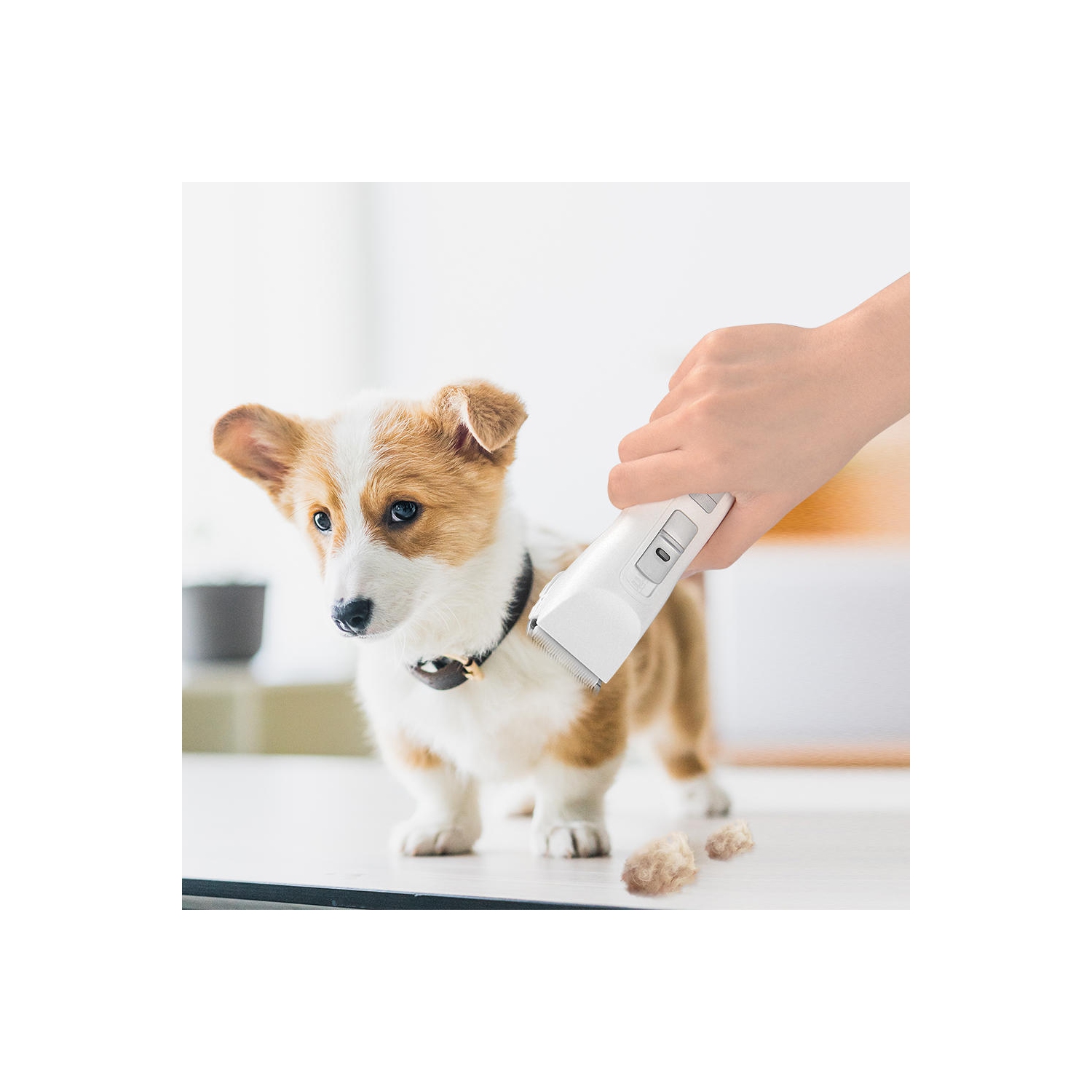 Professional 2-Speed Cordless Rechargeable Pet Grooming Hair Clippers Kit for Dogs Cats