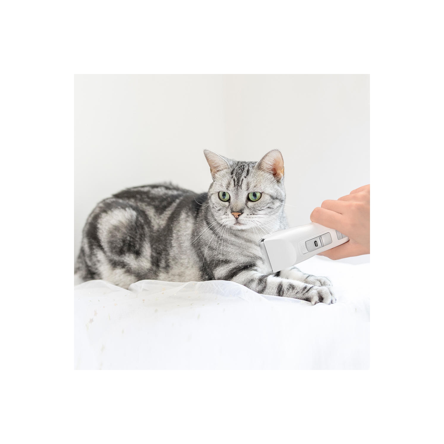 Professional 2-Speed Cordless Rechargeable Pet Grooming Hair Clippers Kit for Dogs Cats